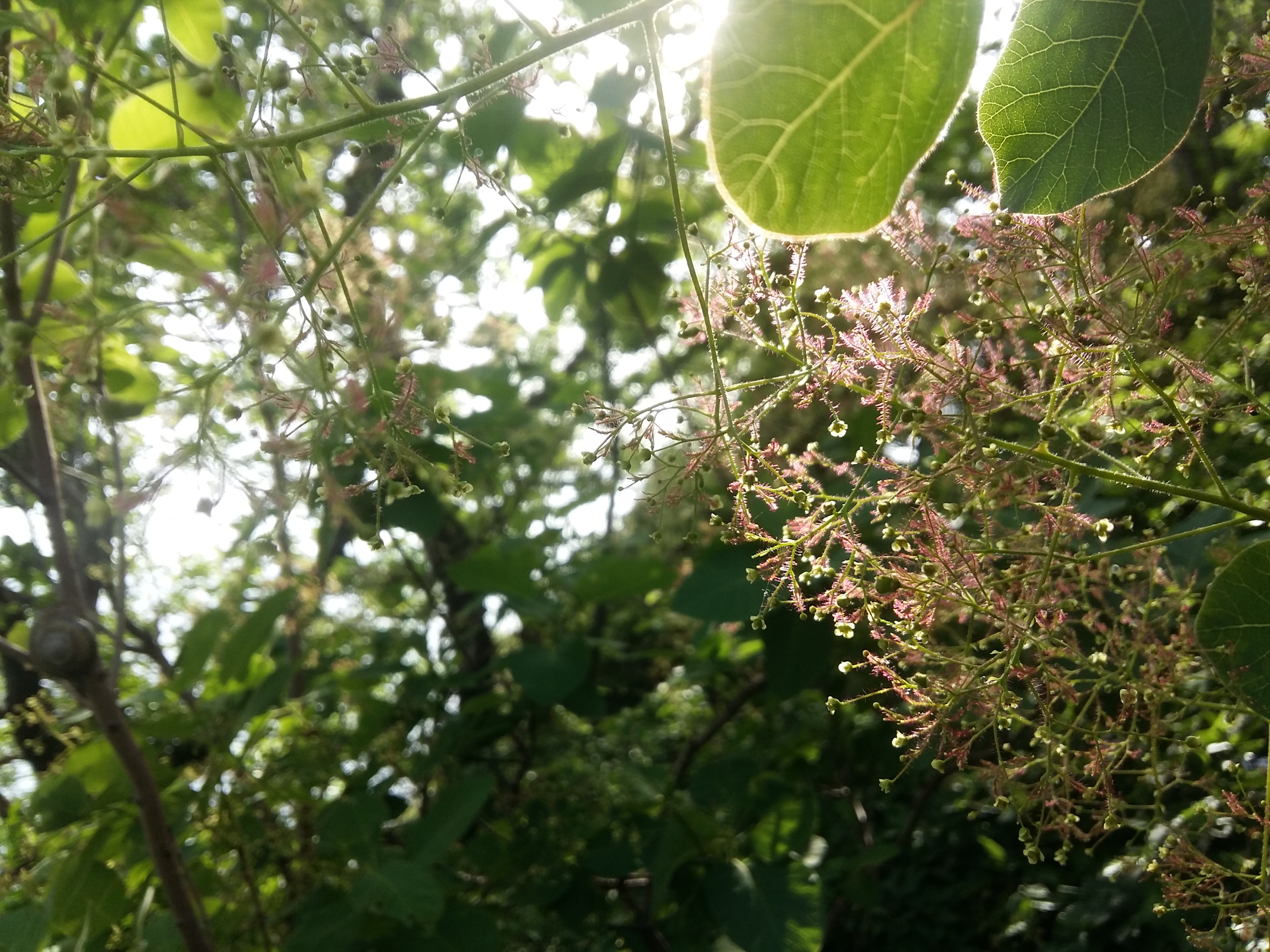 20180504_170047.jpg
