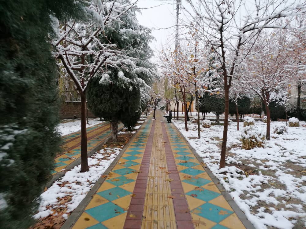 imagepark123 (33).jpeg