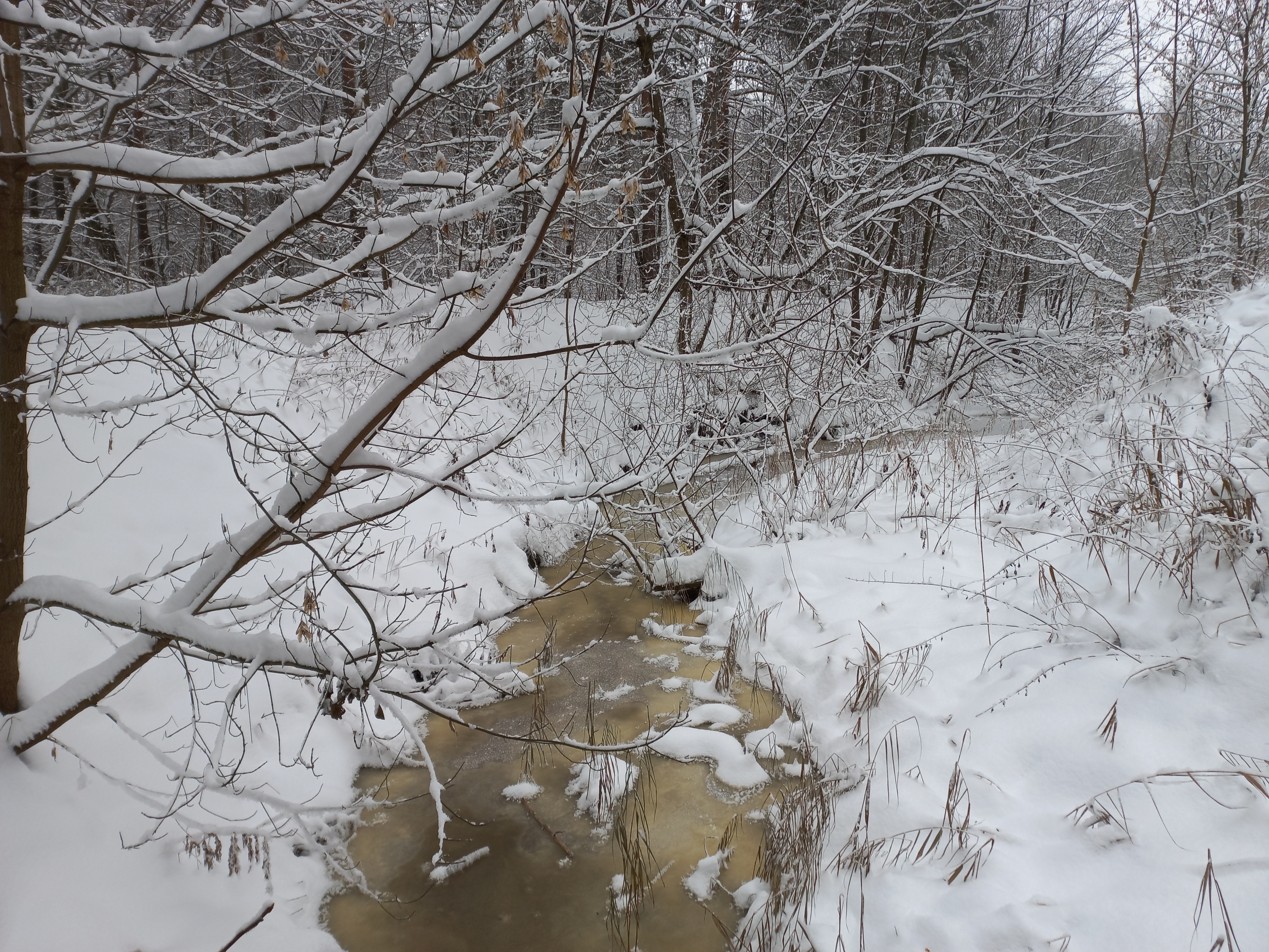 20211212_144651.jpg
