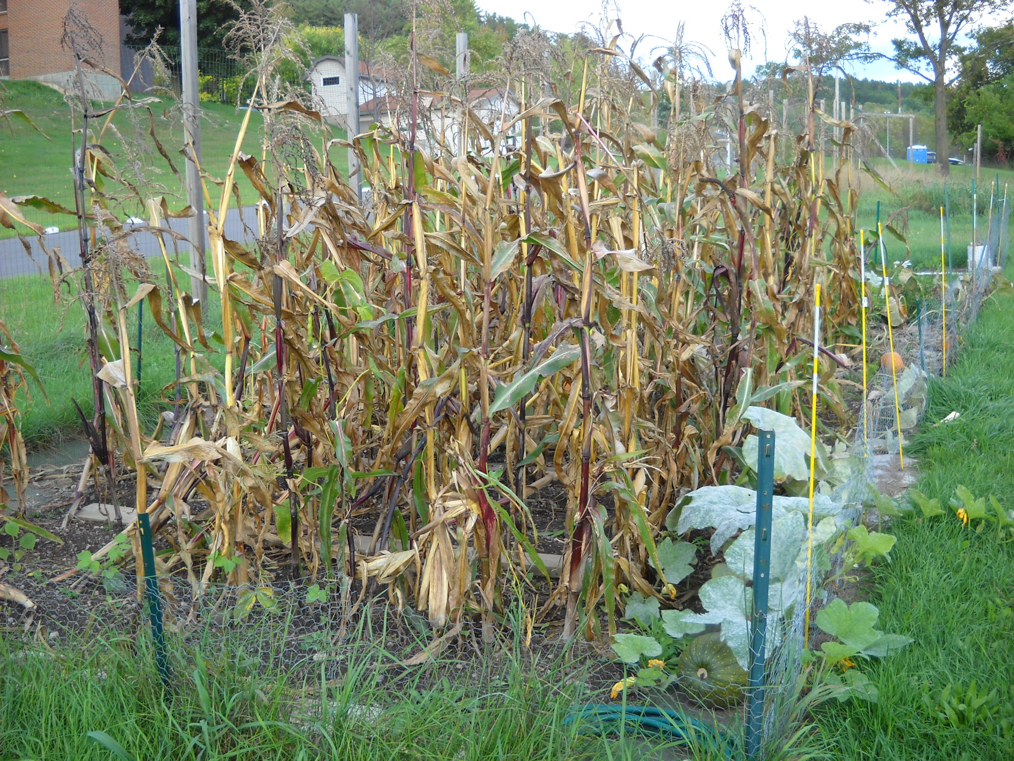 DSCN2219.JPG