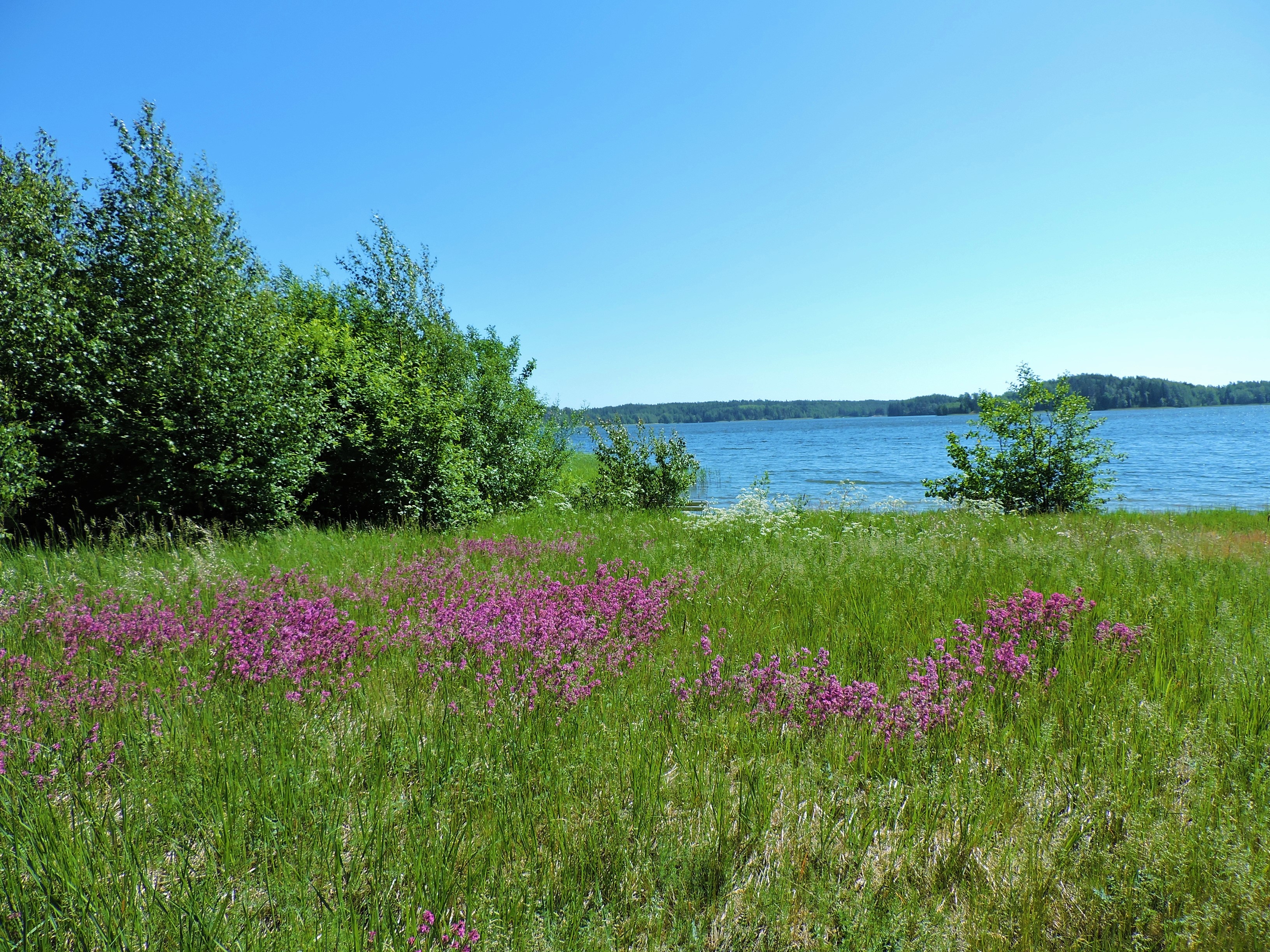 DSCN4661.JPG