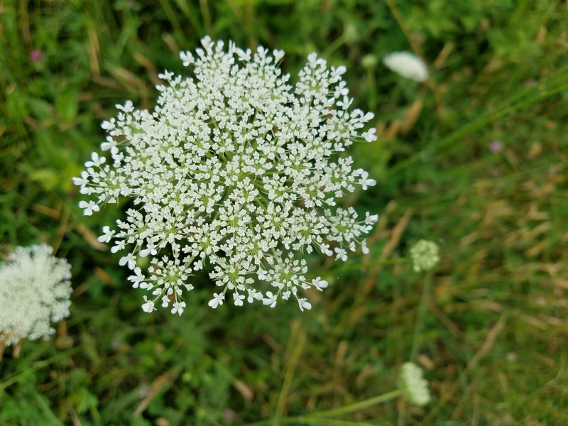 20180613_160515.jpg
