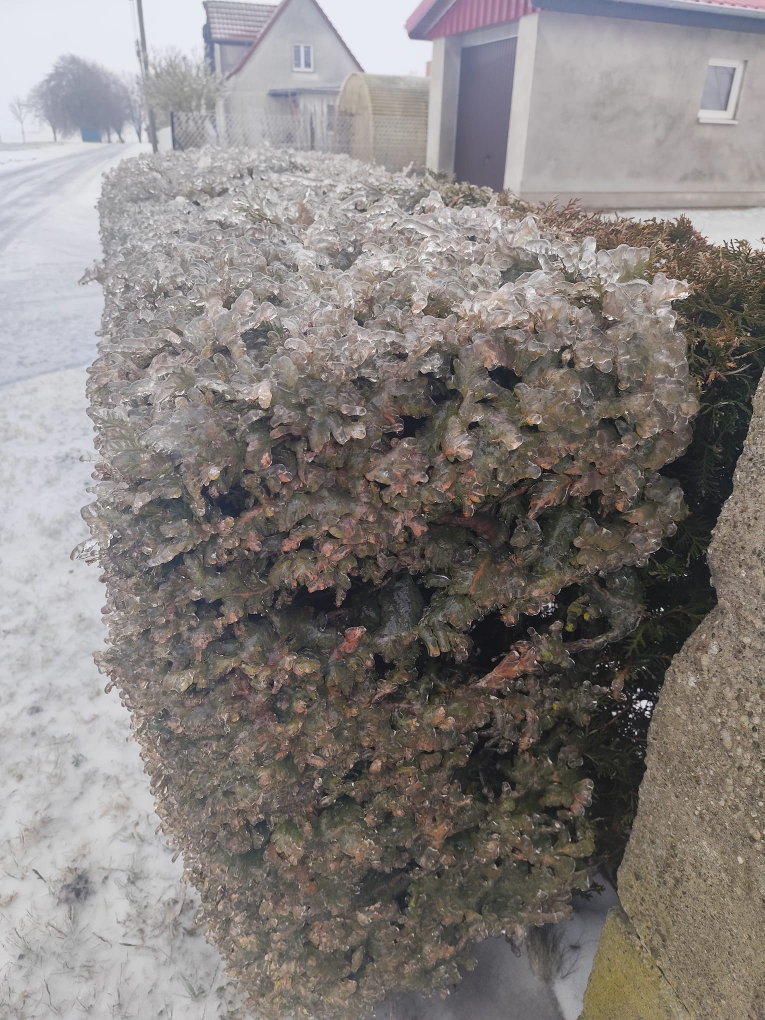 1000077889.jpg