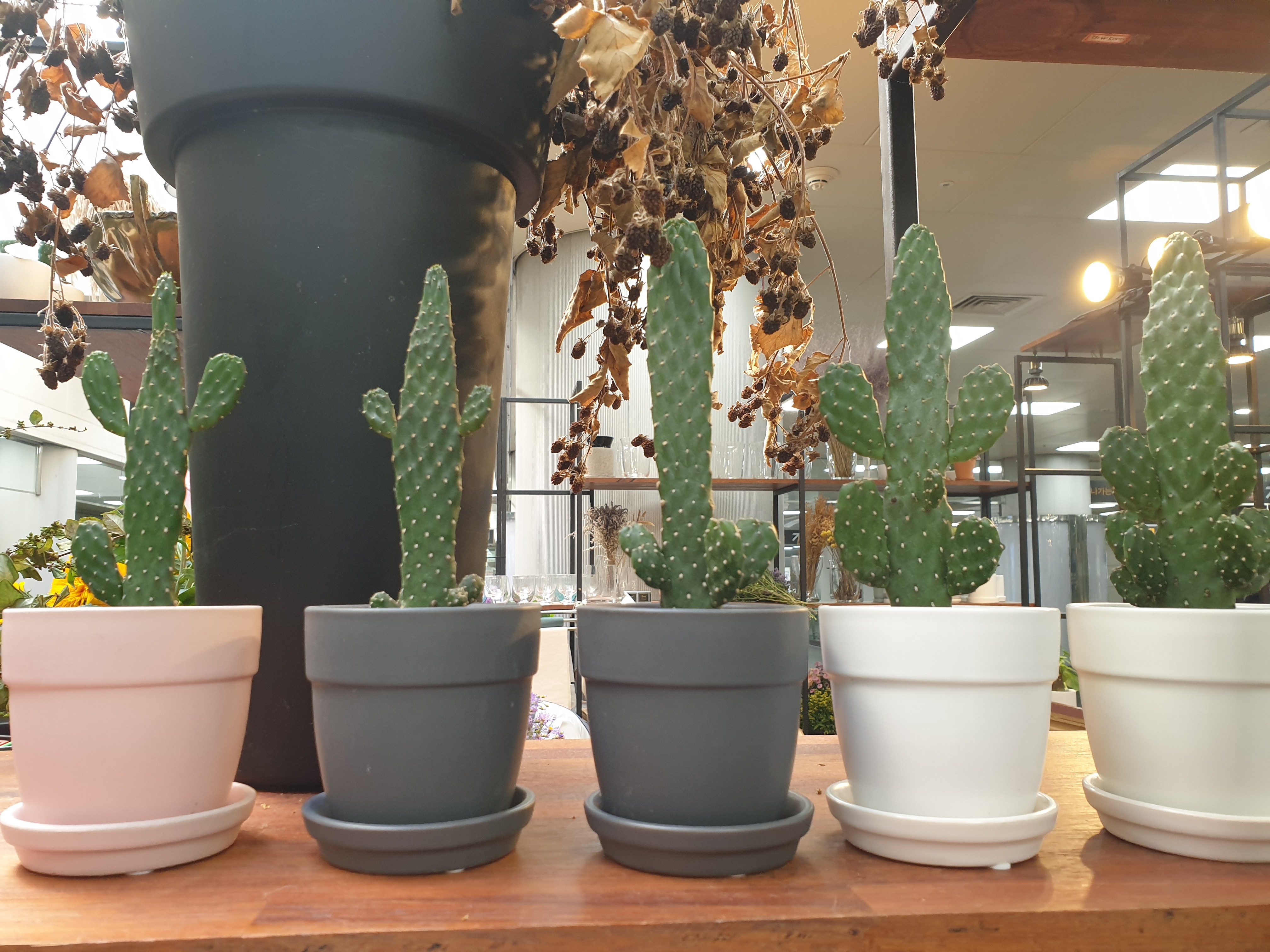 20201009_122351.jpg