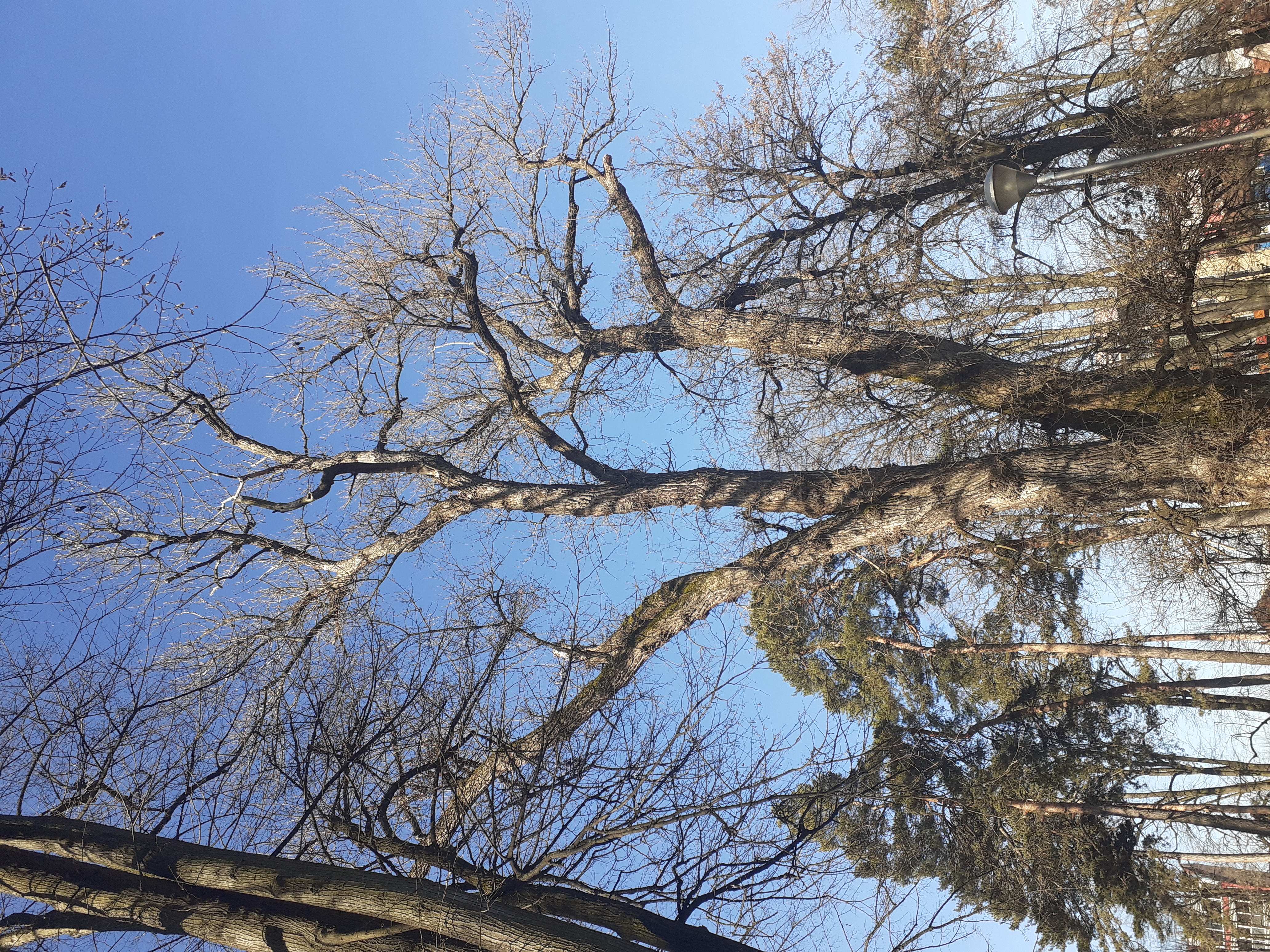 20220130_105129.jpg