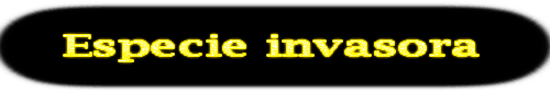 Especie-invasora.png