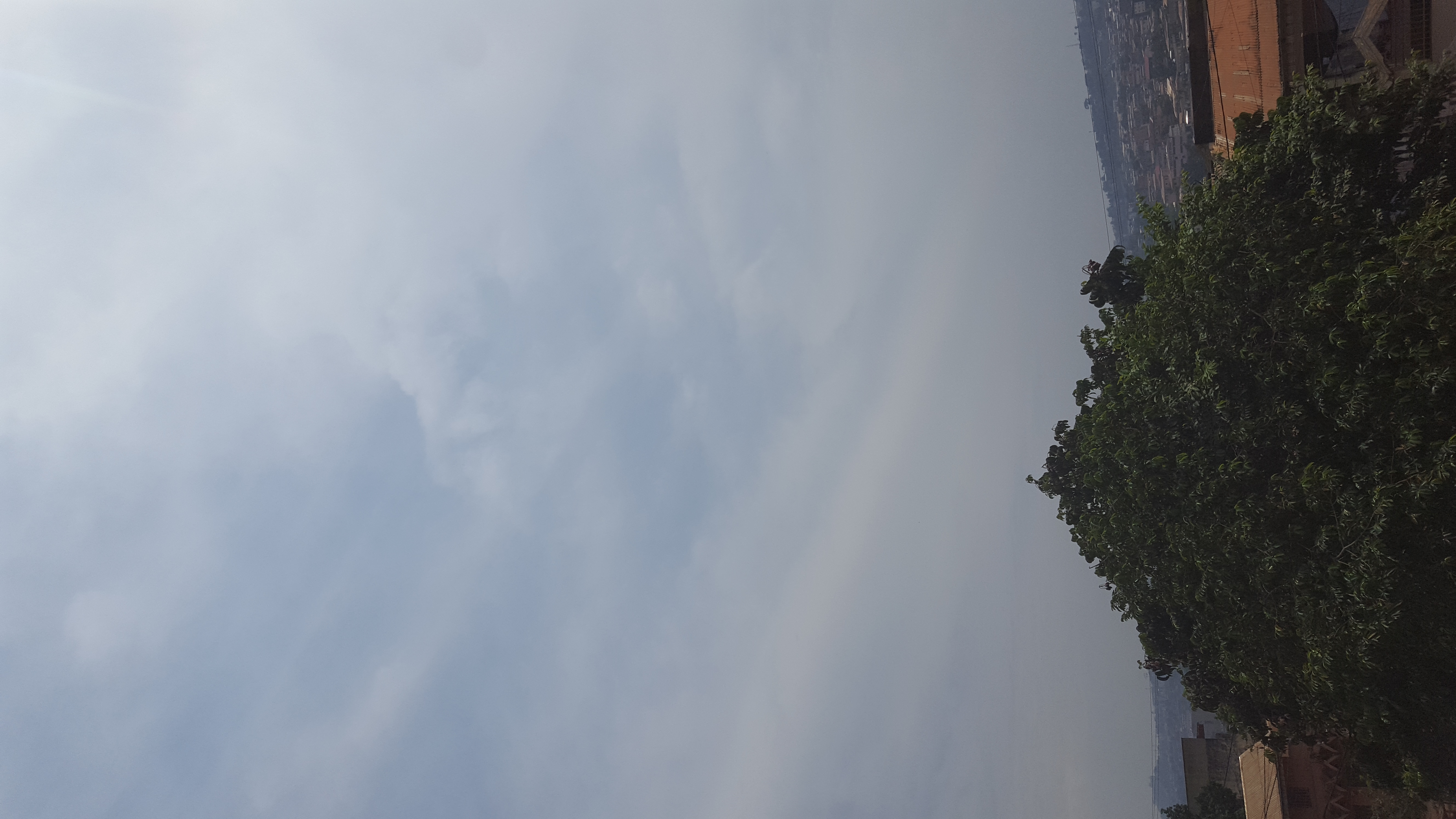 20210910_101515.jpg