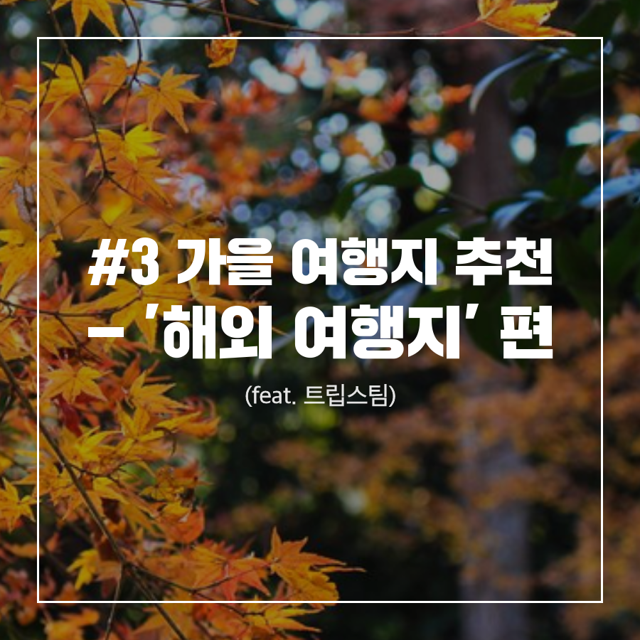 tyle-ubz-1-1540640703.png