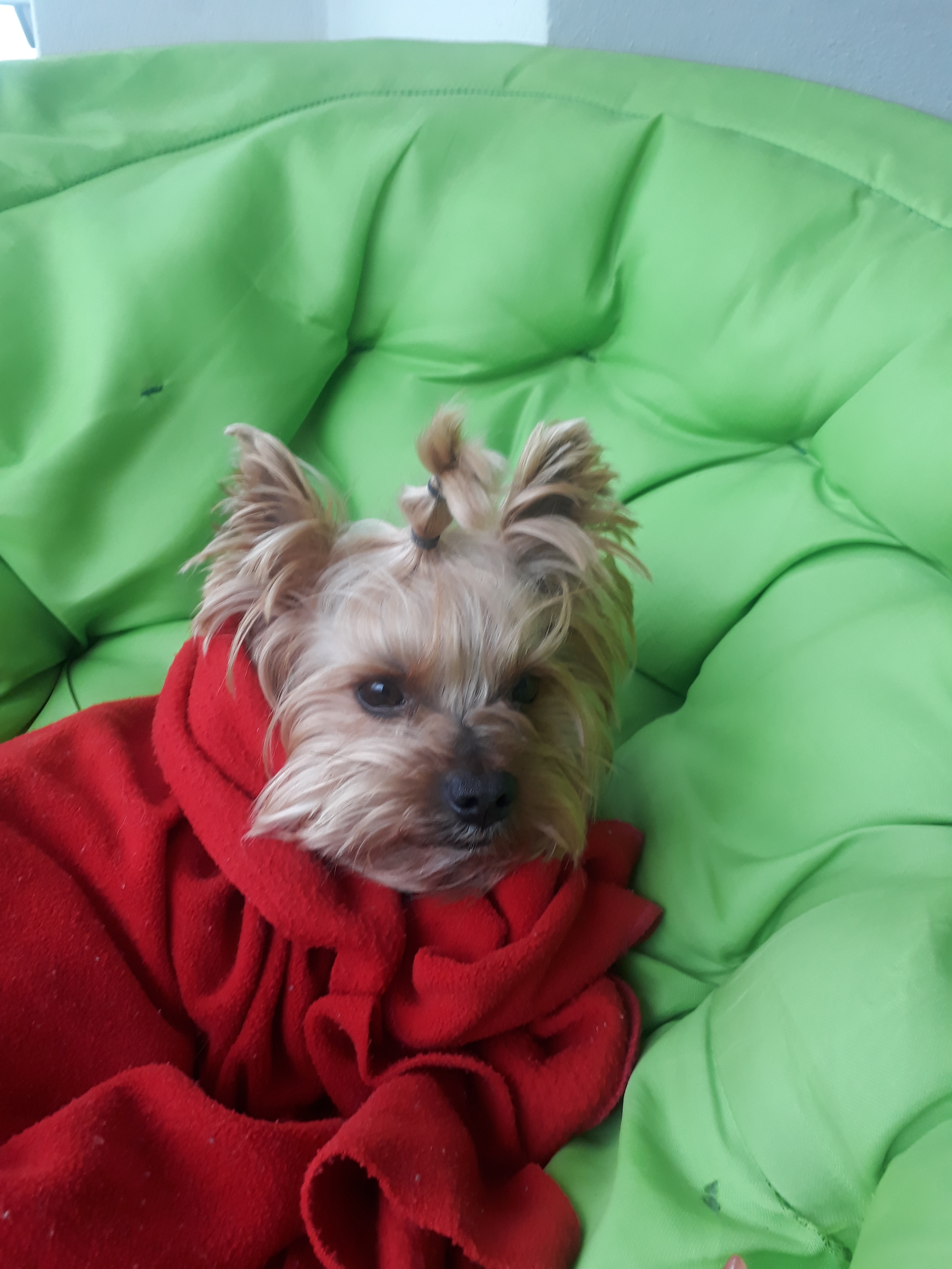 20190329_174636.jpg