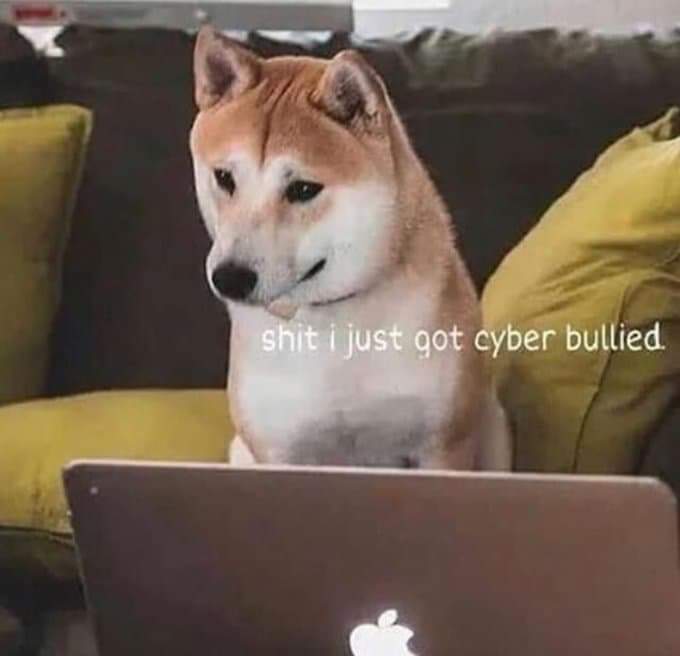 received_553669315099041.jpeg