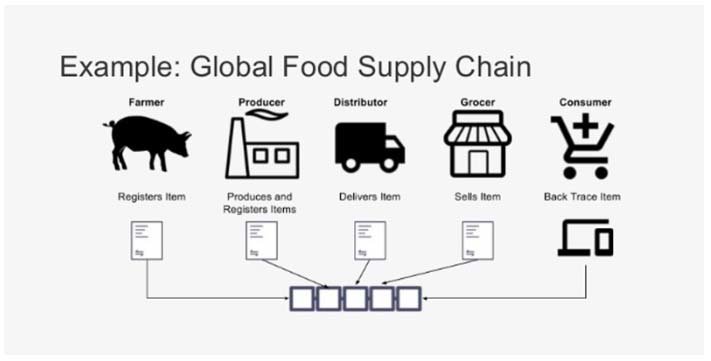 foodchain.jpg