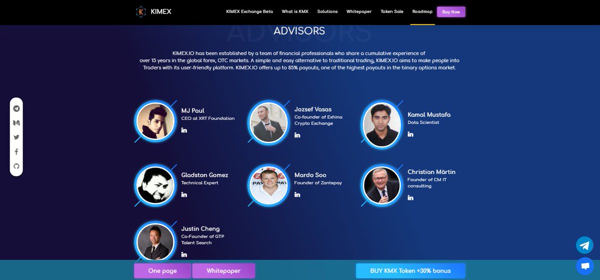 Kimex Advisors.jpg