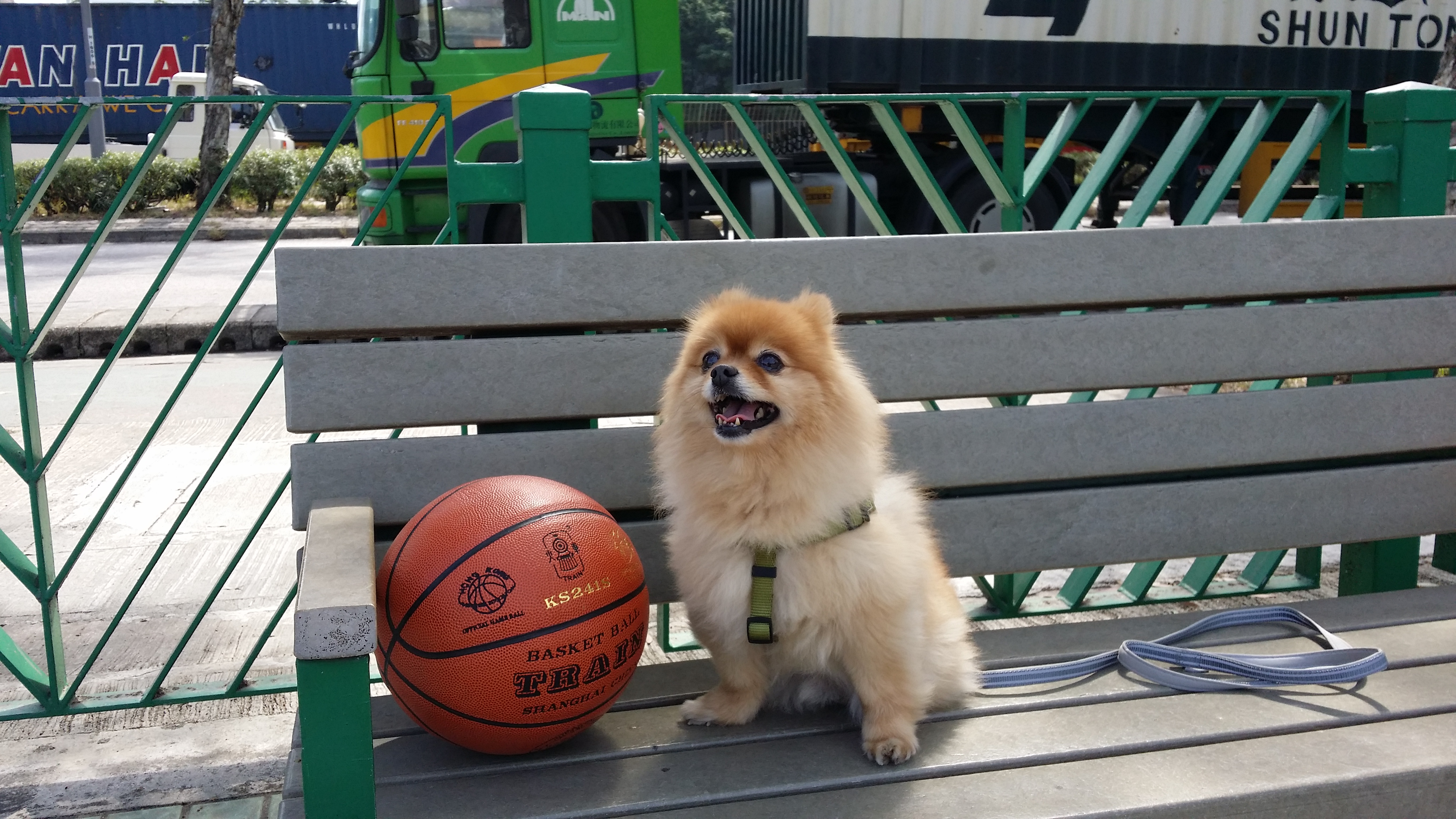20140223_114052.jpg