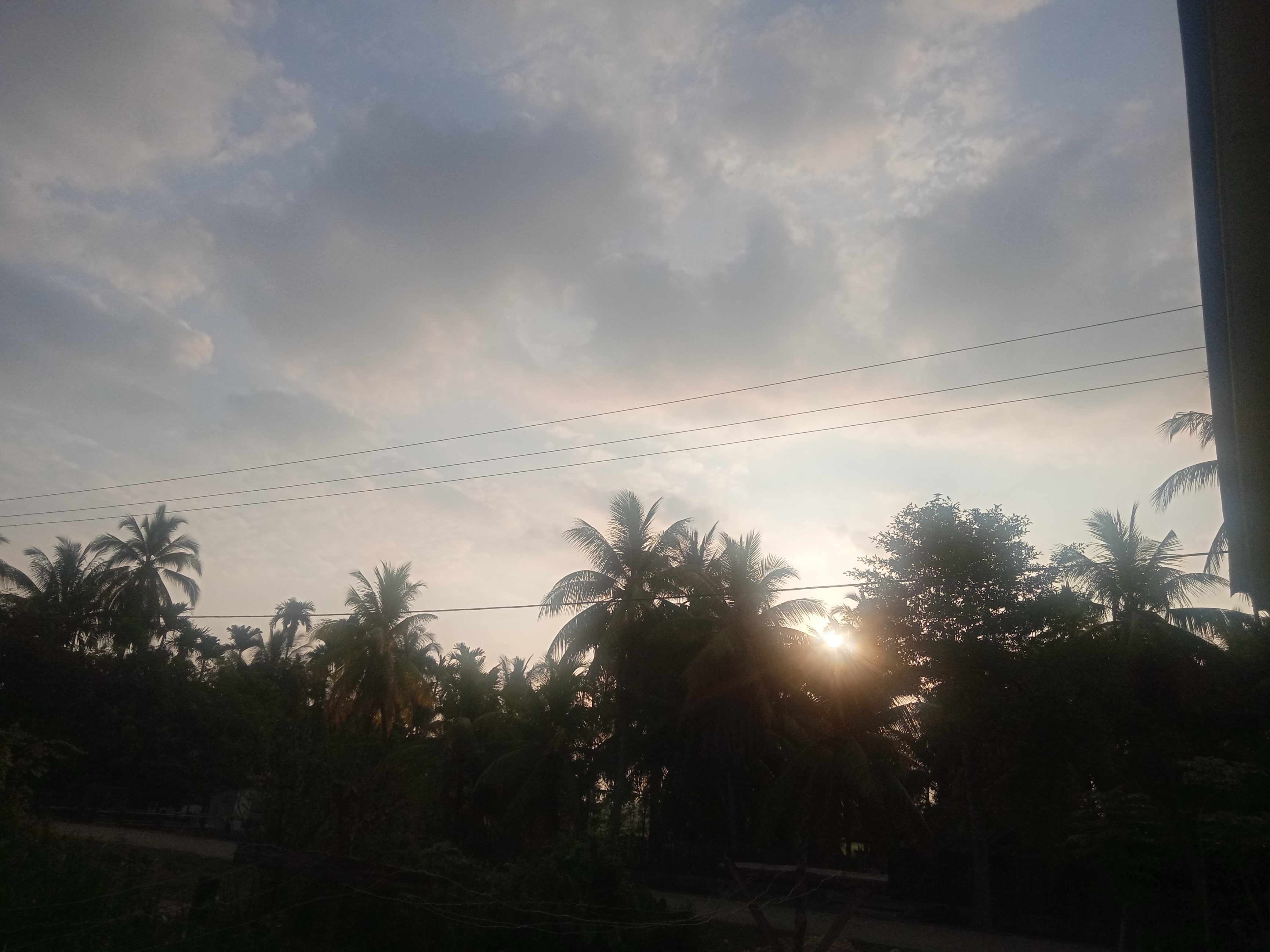 IMG20210603070629.jpg