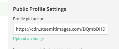 Profile Images still not working even after re-upload