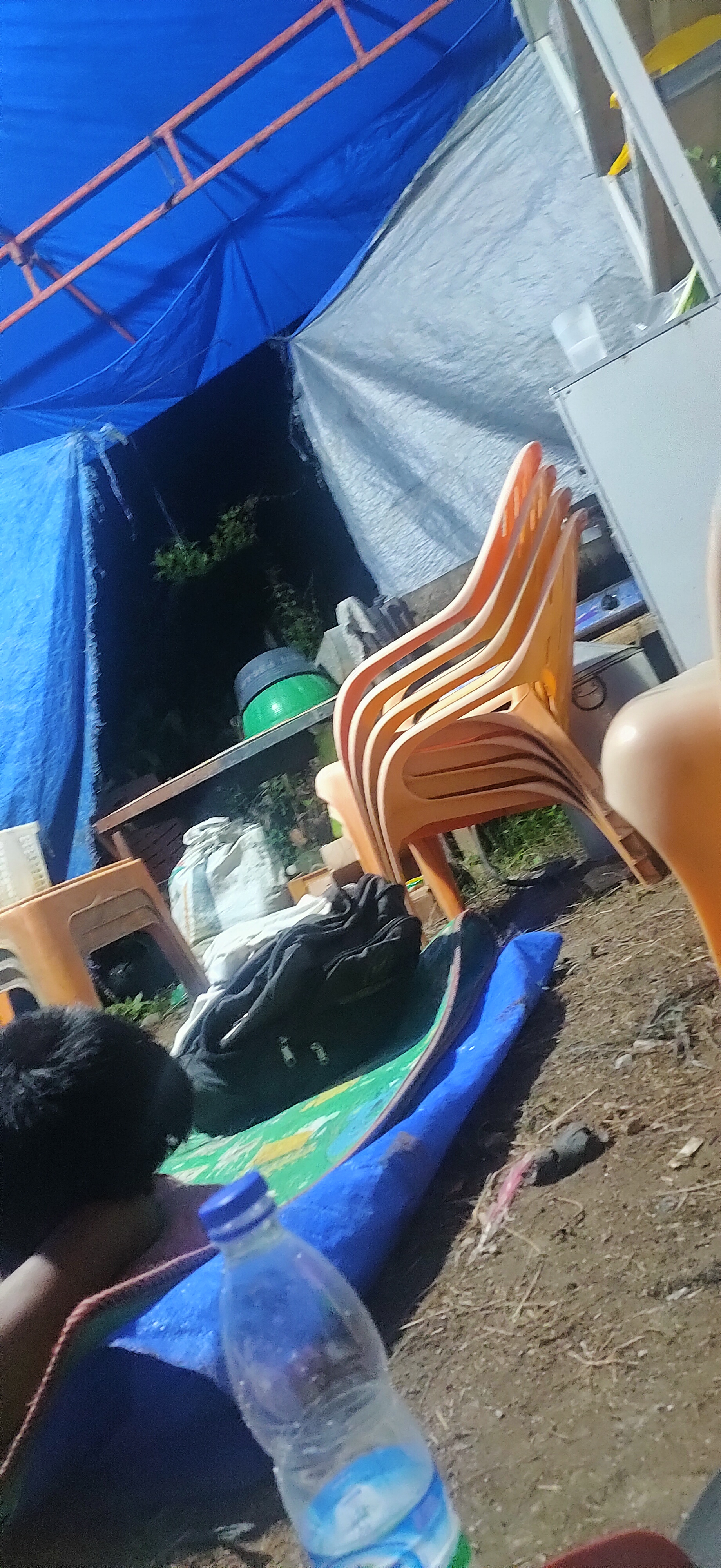 IMG20210512050527.jpg