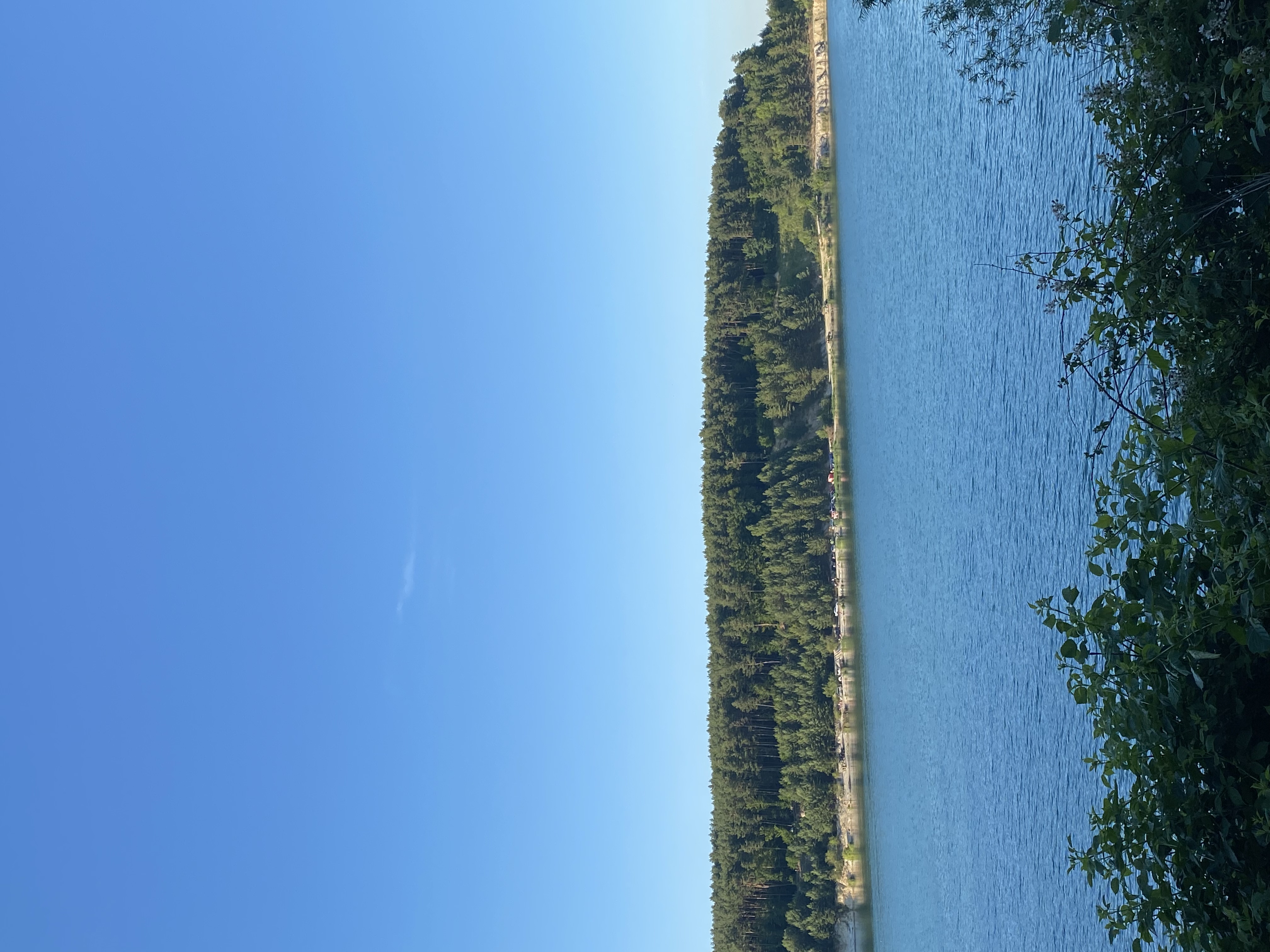 IMG_2710.jpeg