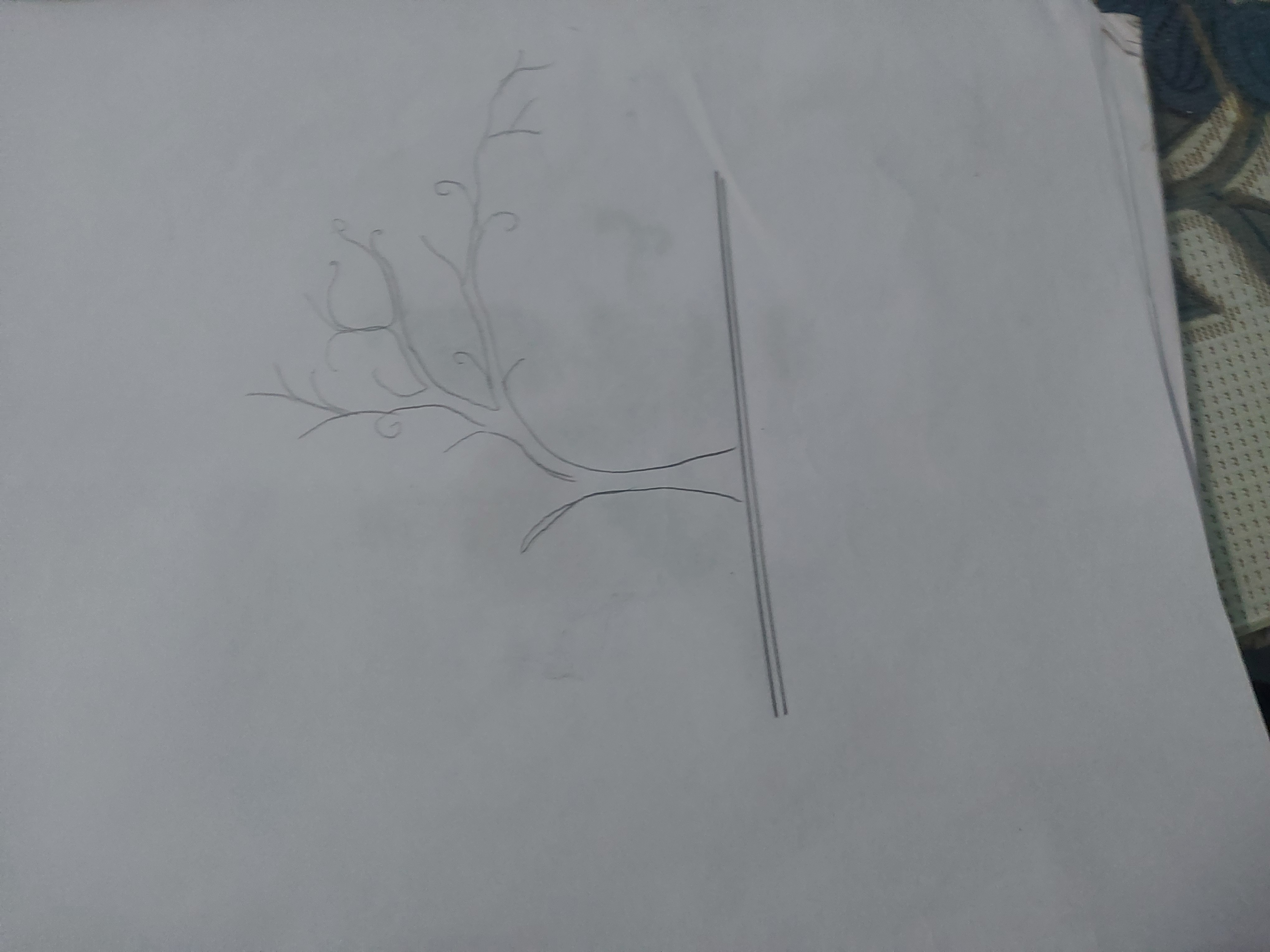 1000225561.jpg