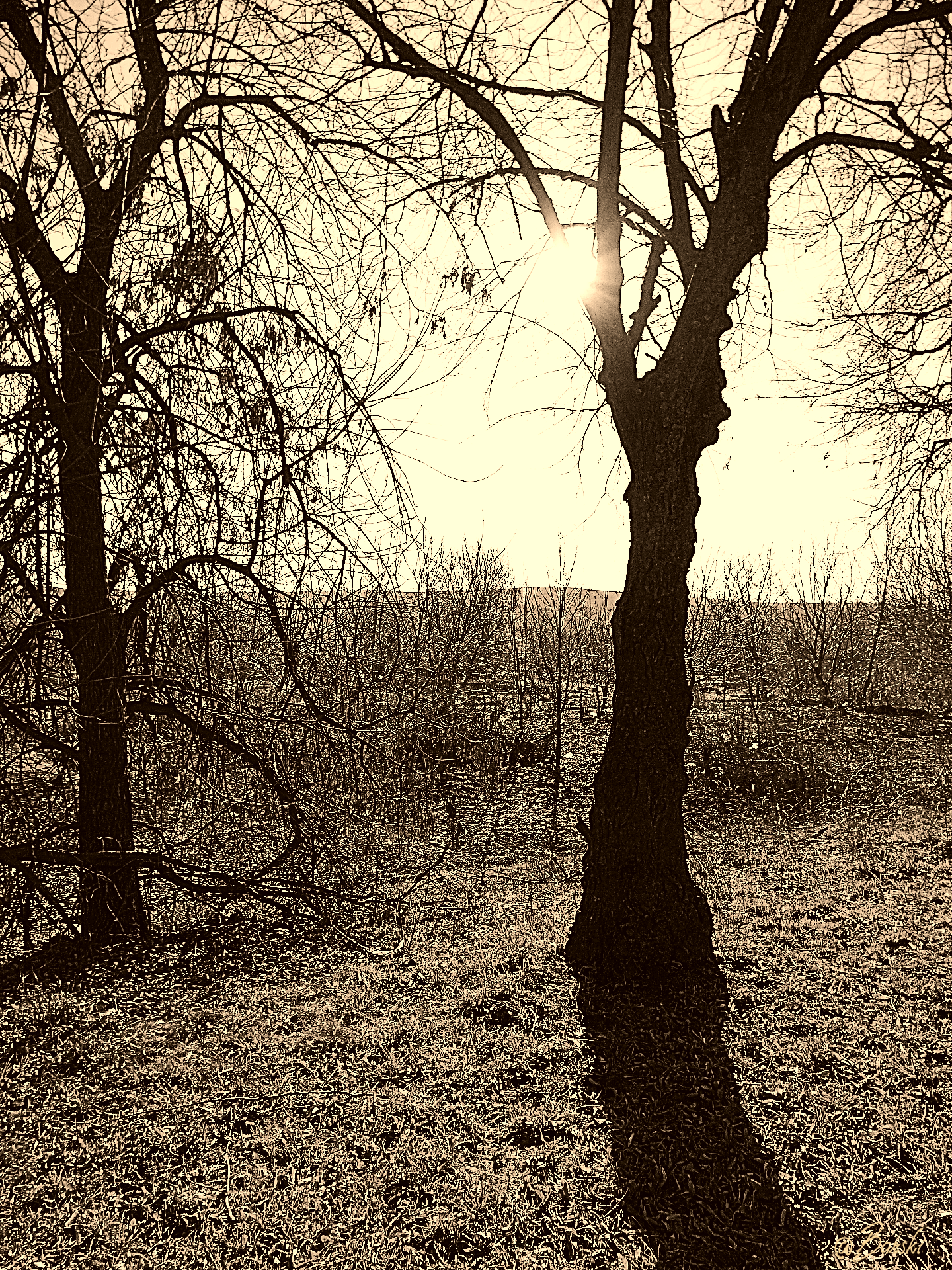 DSC00356.png