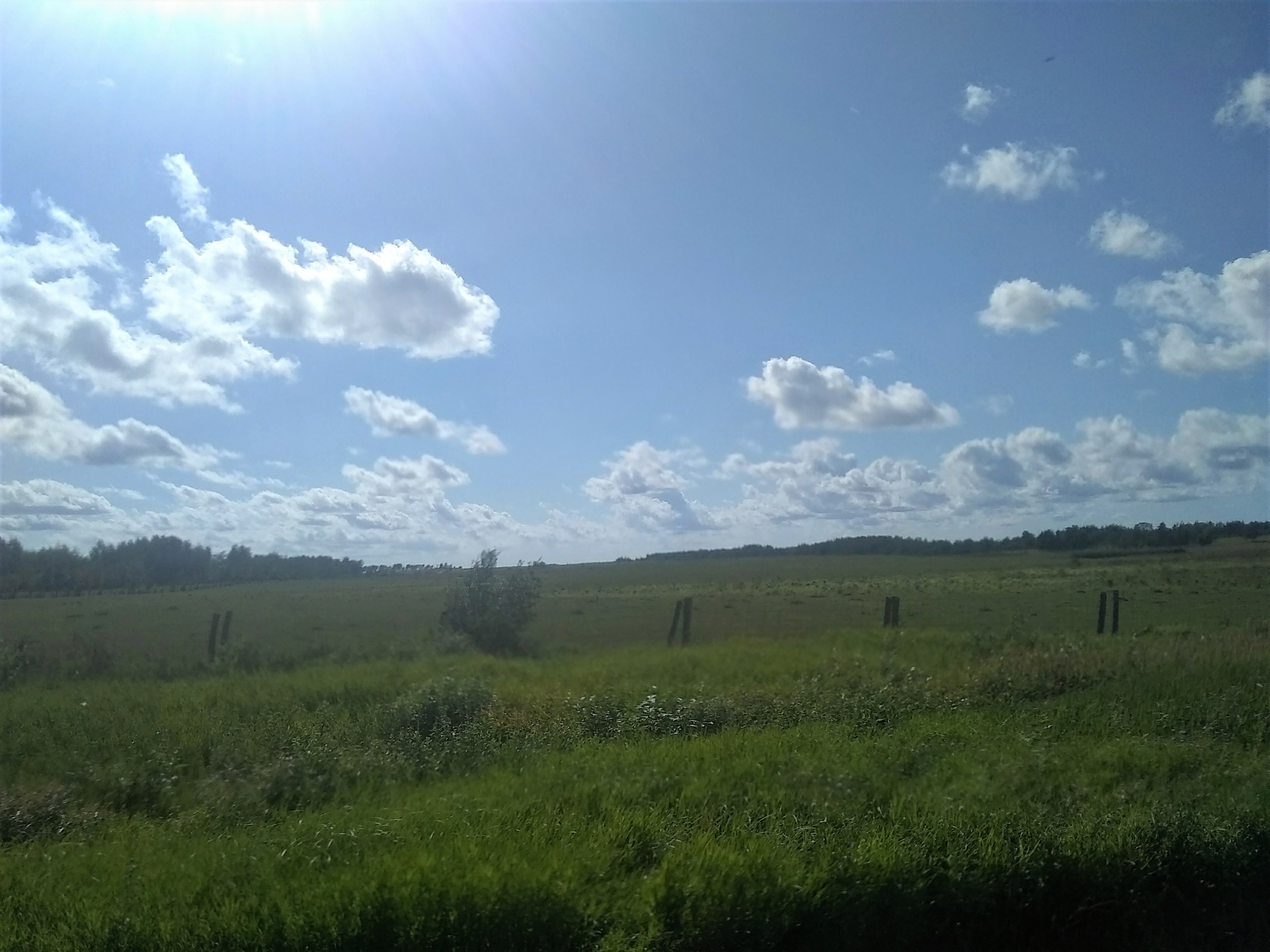 Road to Fort Frances 17.jpg