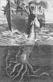 Alecton_giant_squid_1861.png