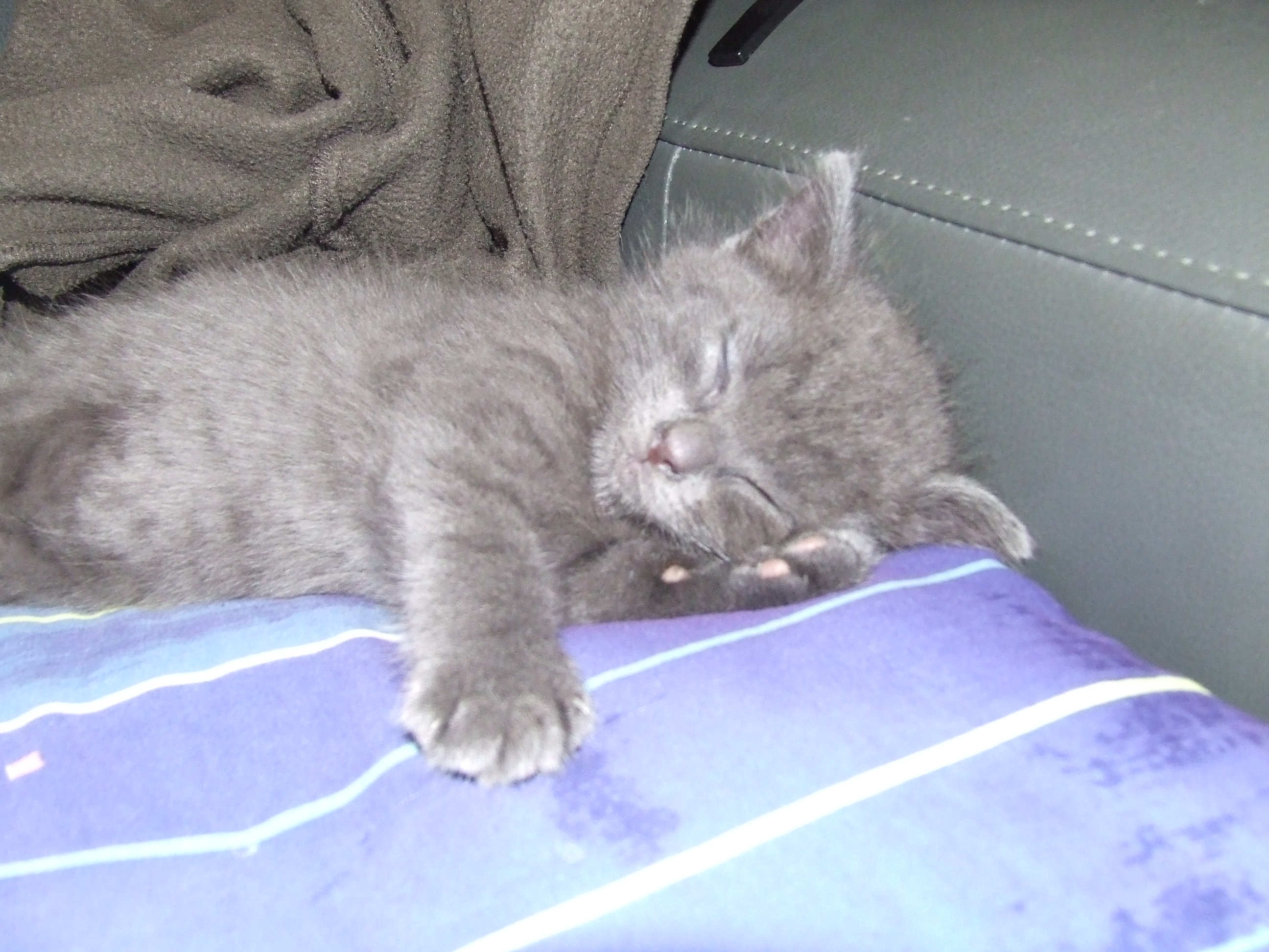 DSCF3603.JPG