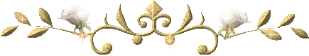 3143495386_1_2_ArCiasVh.gif