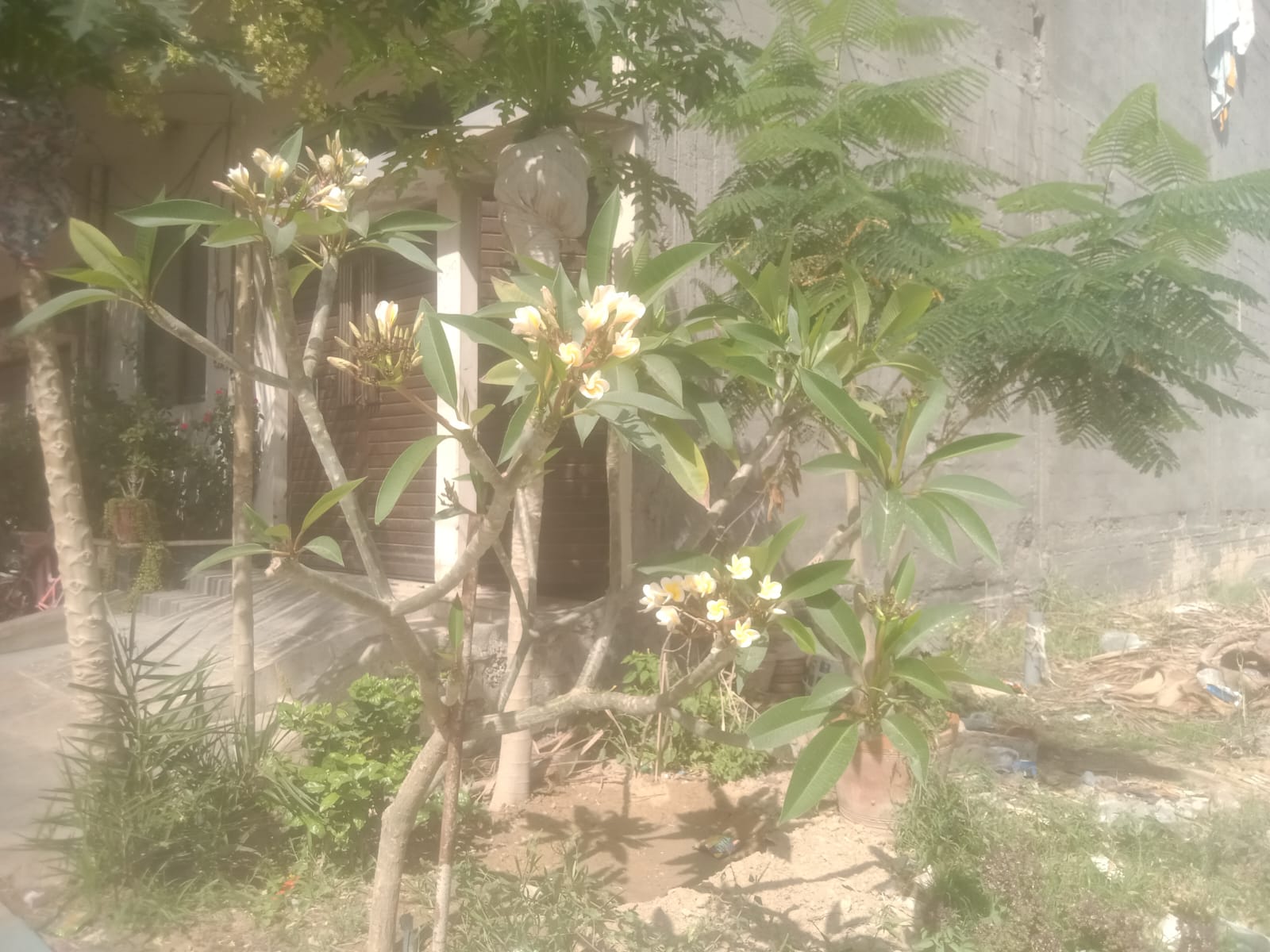 IMG-20260413-WA0010.jpg