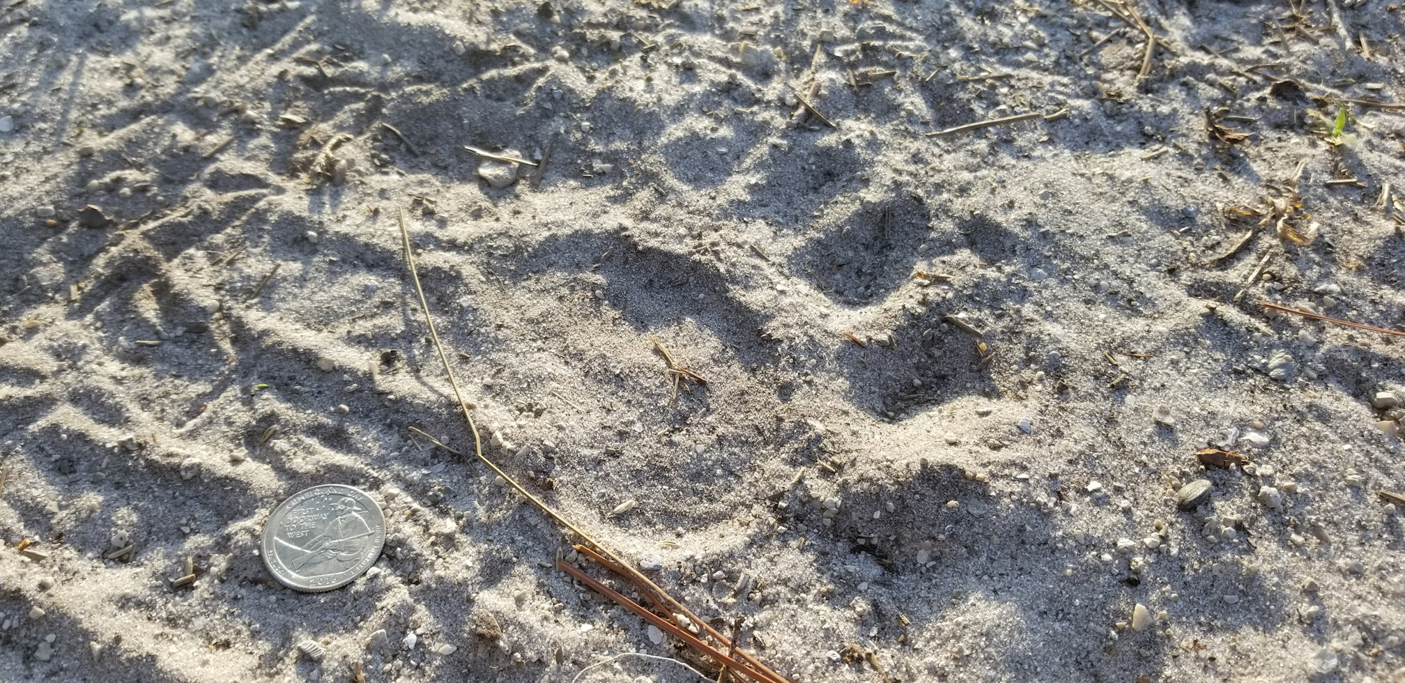 20180502_075152.jpg