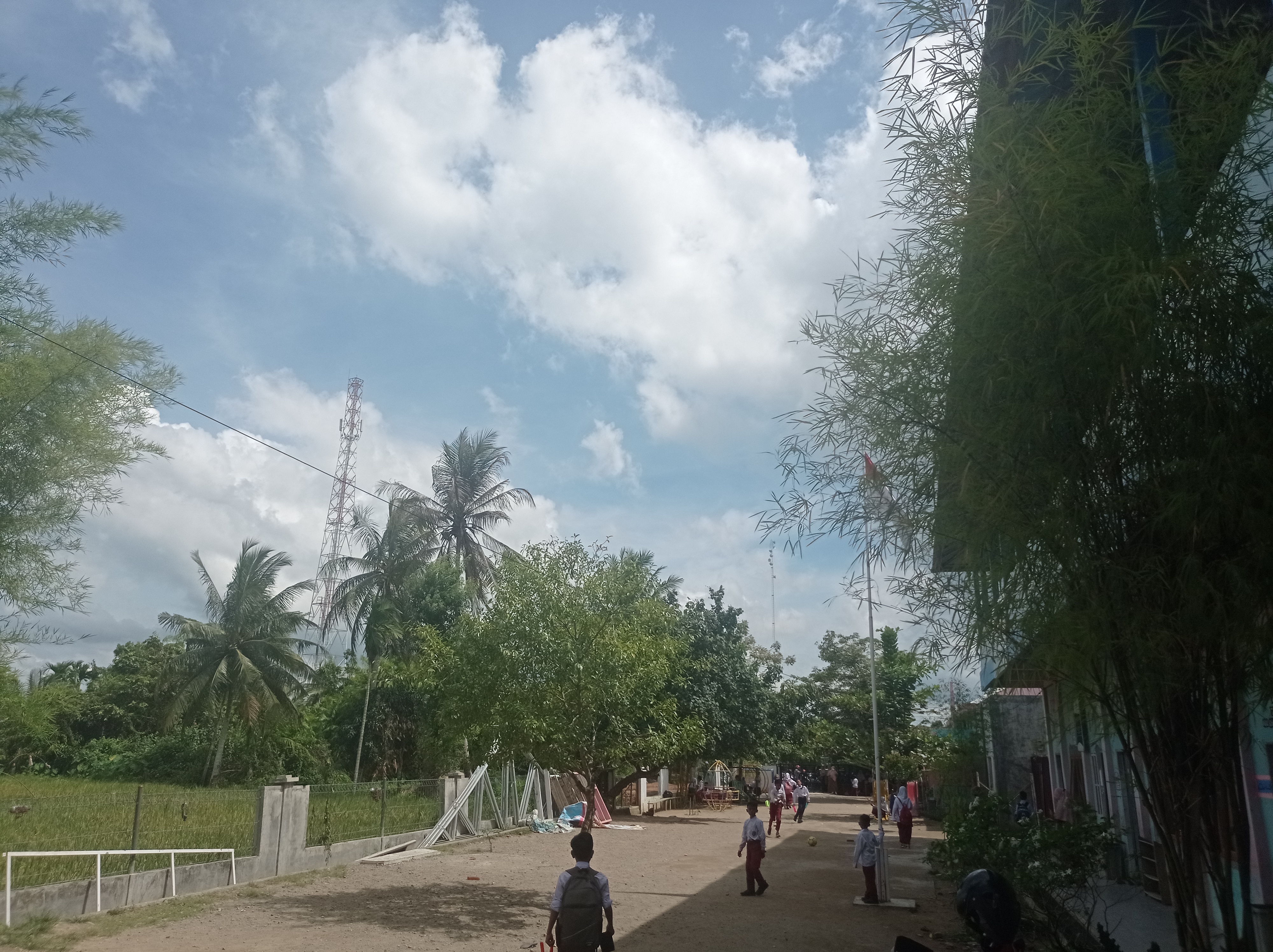 IMG_20211026_134940.jpg