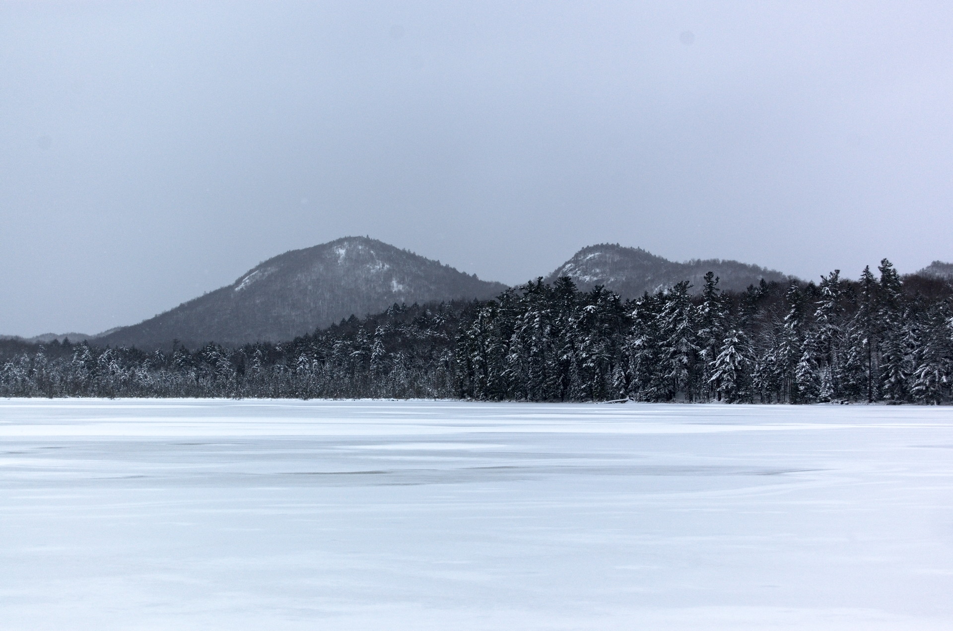 DSC_0589.jpg