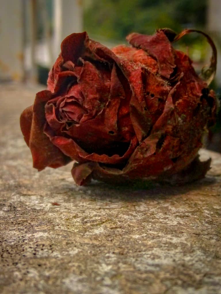 WhatsApp Image 2025-05-24 at 16.18.32 (2).jpeg