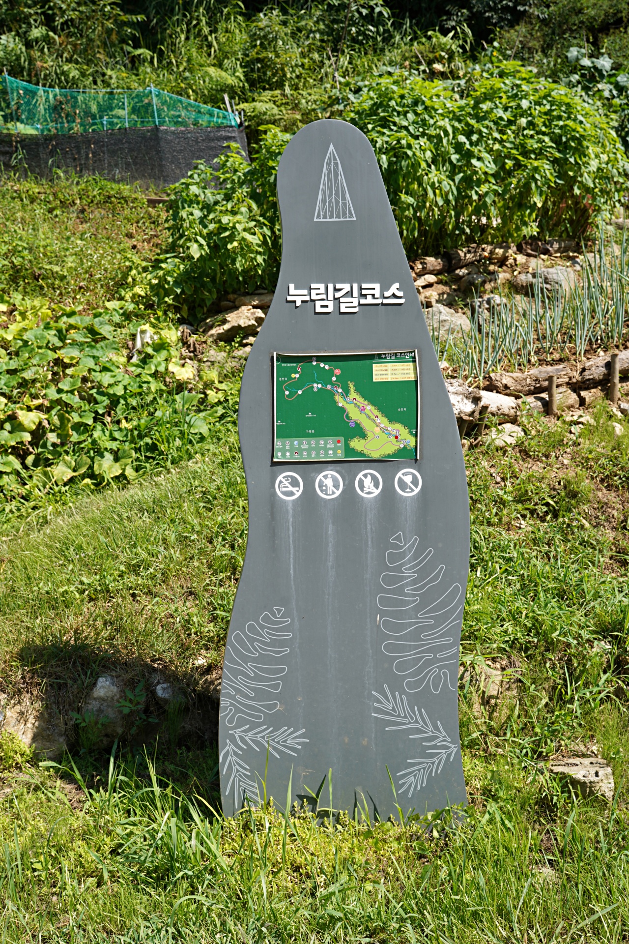 b-S260807-102553.jpg