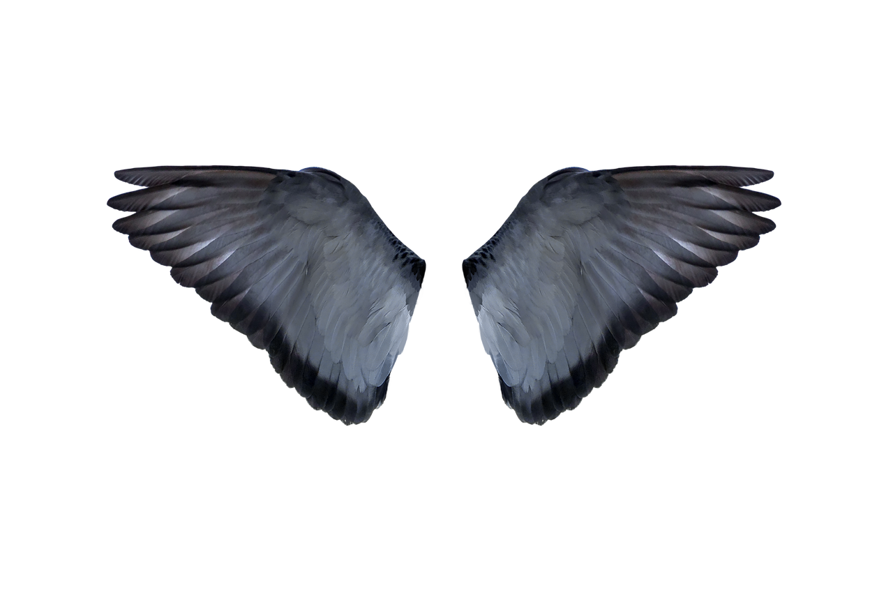 Steemit profile picture for @masti
