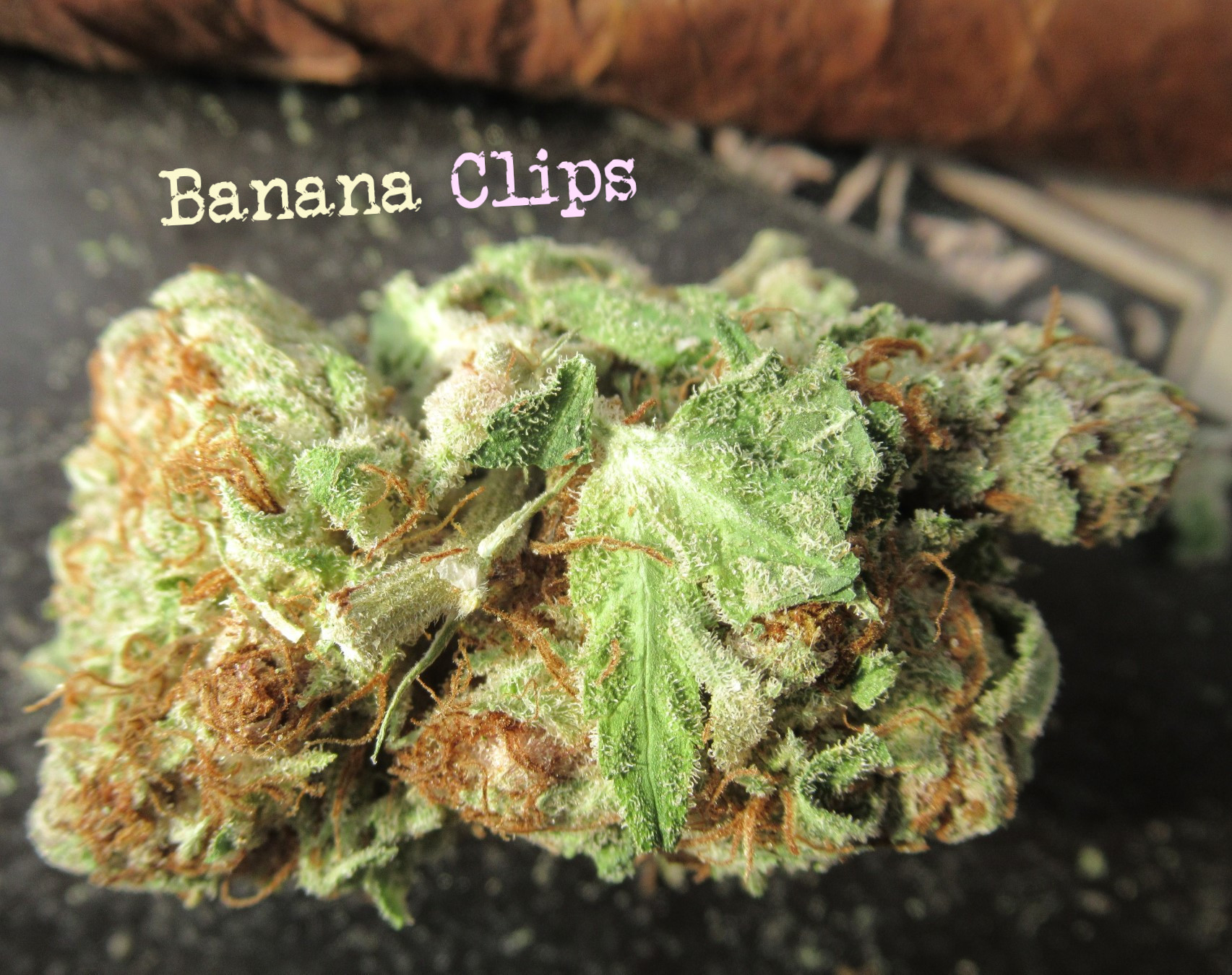 BANANA CLIPS 80/20 indica dominant Blunt with a Backwoods Rum Flavor Split Cigar - Solid Relaxation