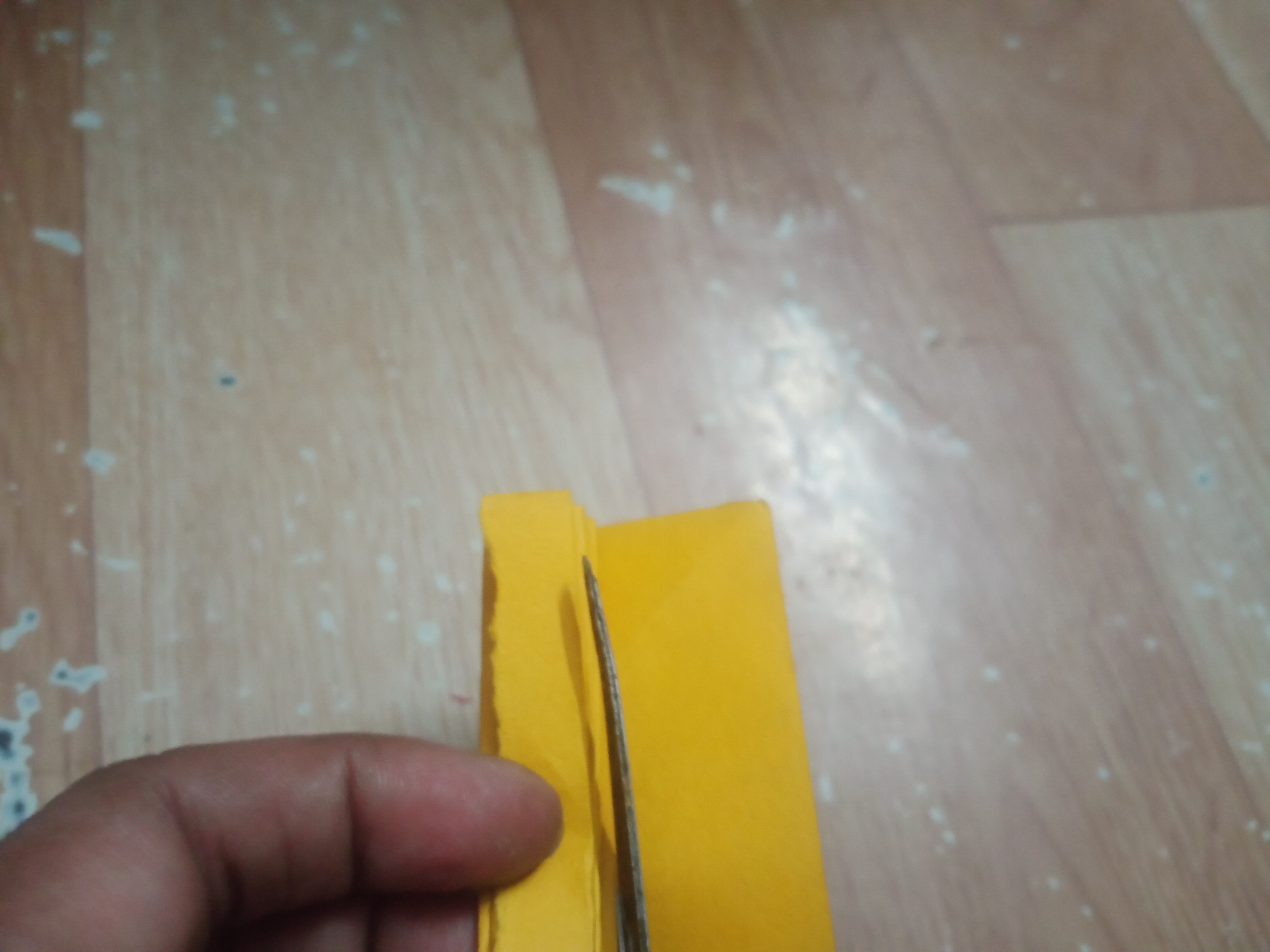 IMG20260731174527.jpg