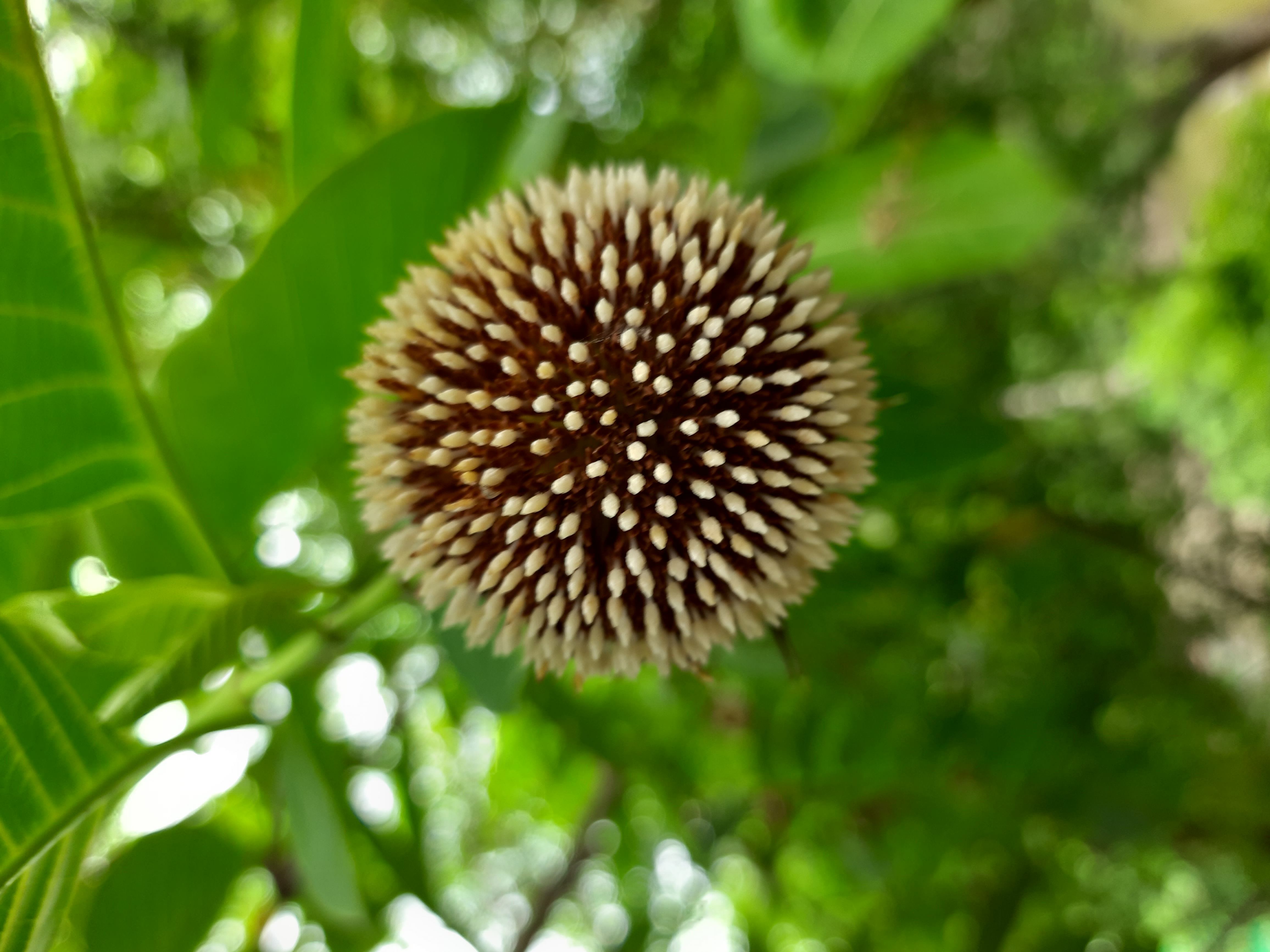 20230729_151946.jpg