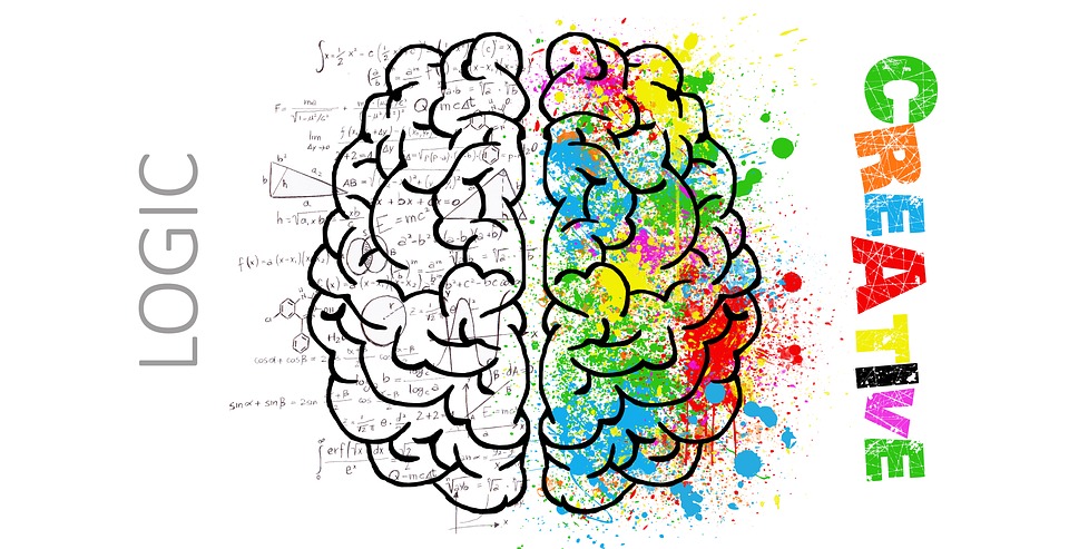 brain.jpg