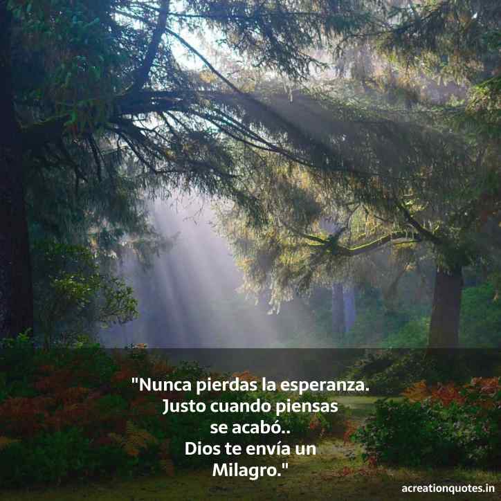 PicsArt_03-06-07 (4).jpg