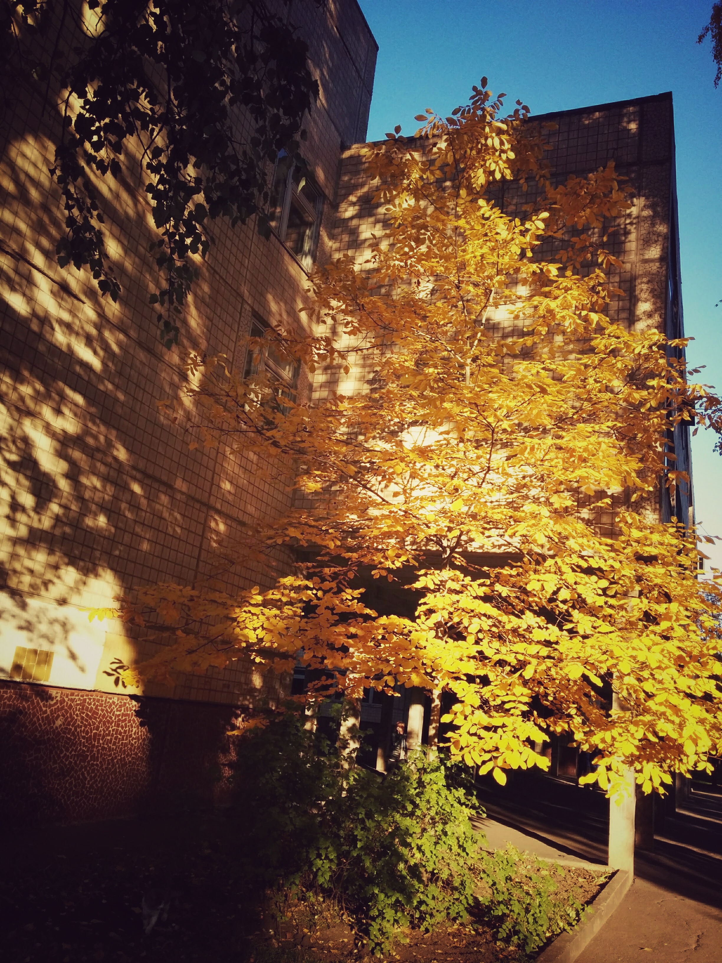 IMG_20181008_165717-01.jpeg