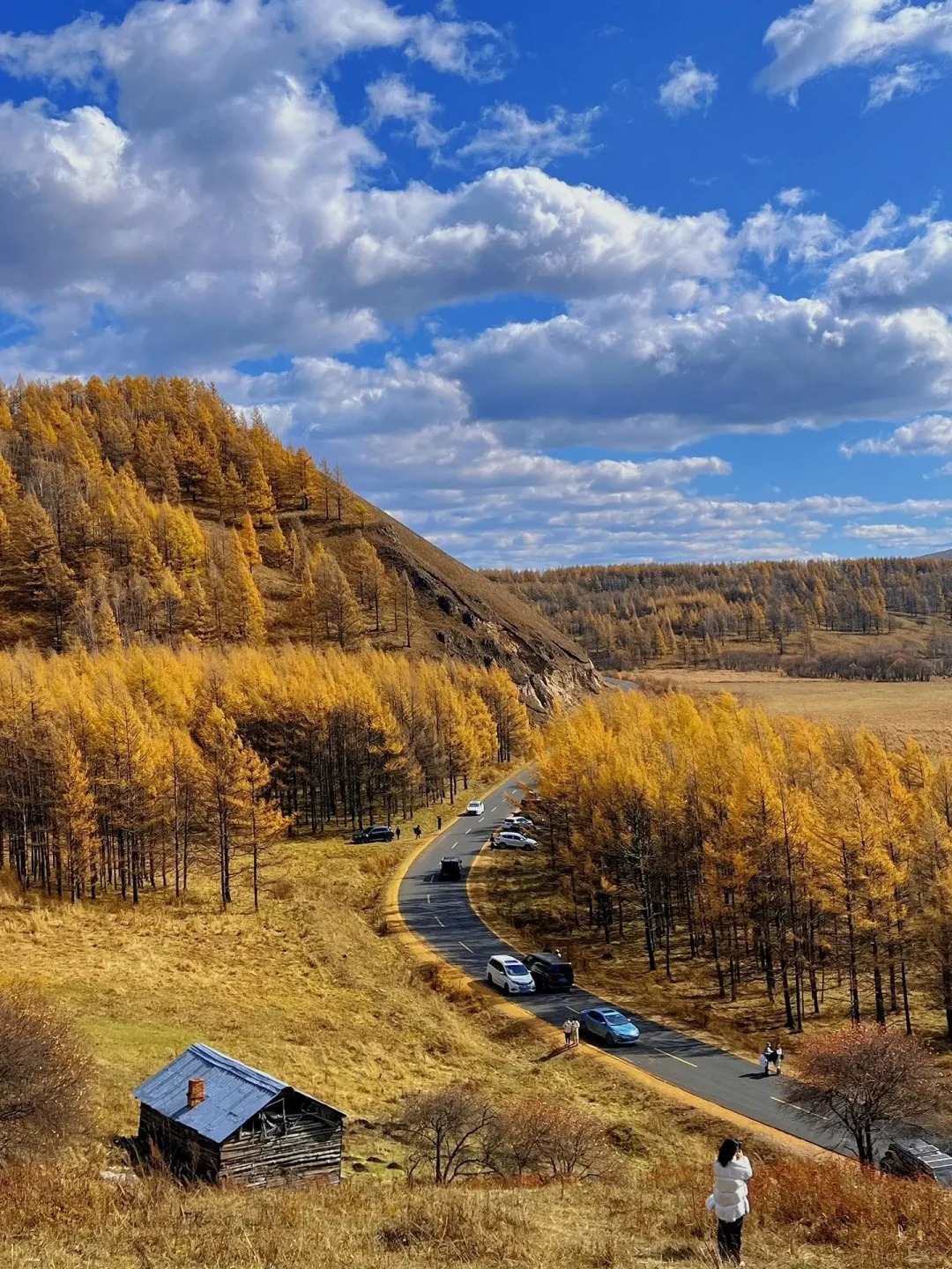 阿尔山的秋天🍂,今年中秋我还要去二刷_1_Explorer_来自小红书网页版.jpg
