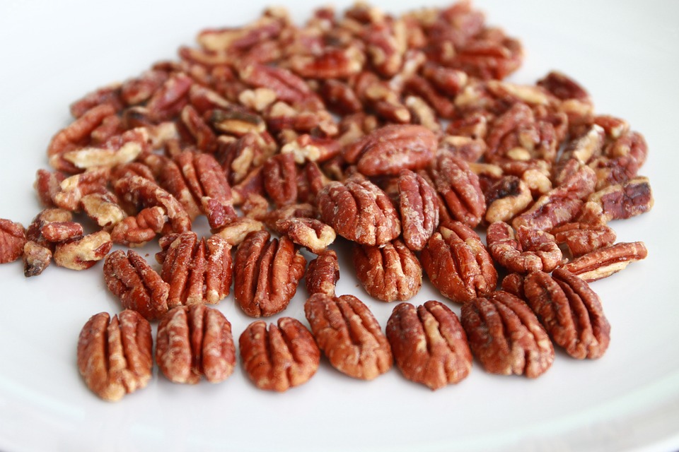 pecan-1090266_960_720.jpg