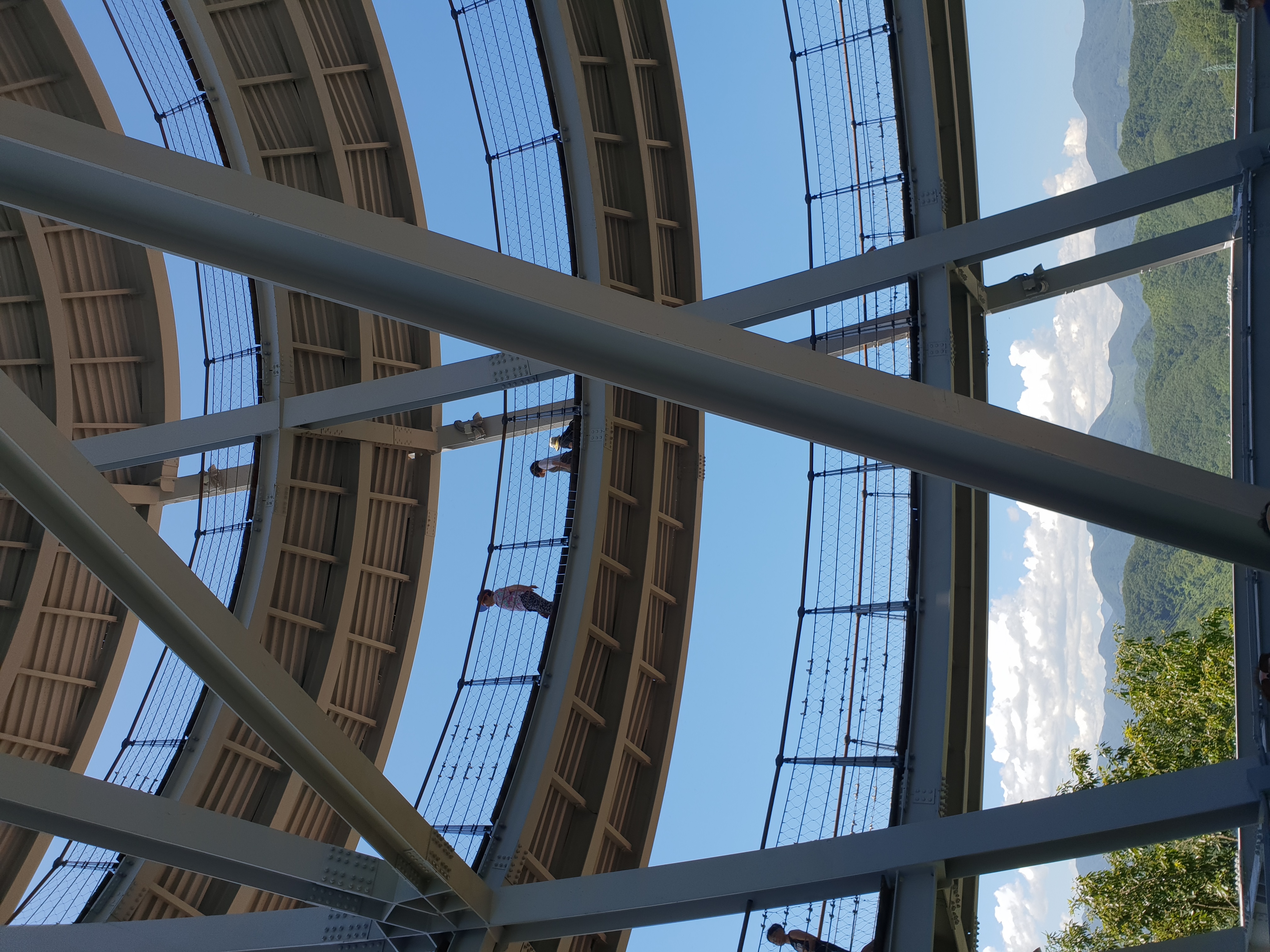 20180731_111101.jpg