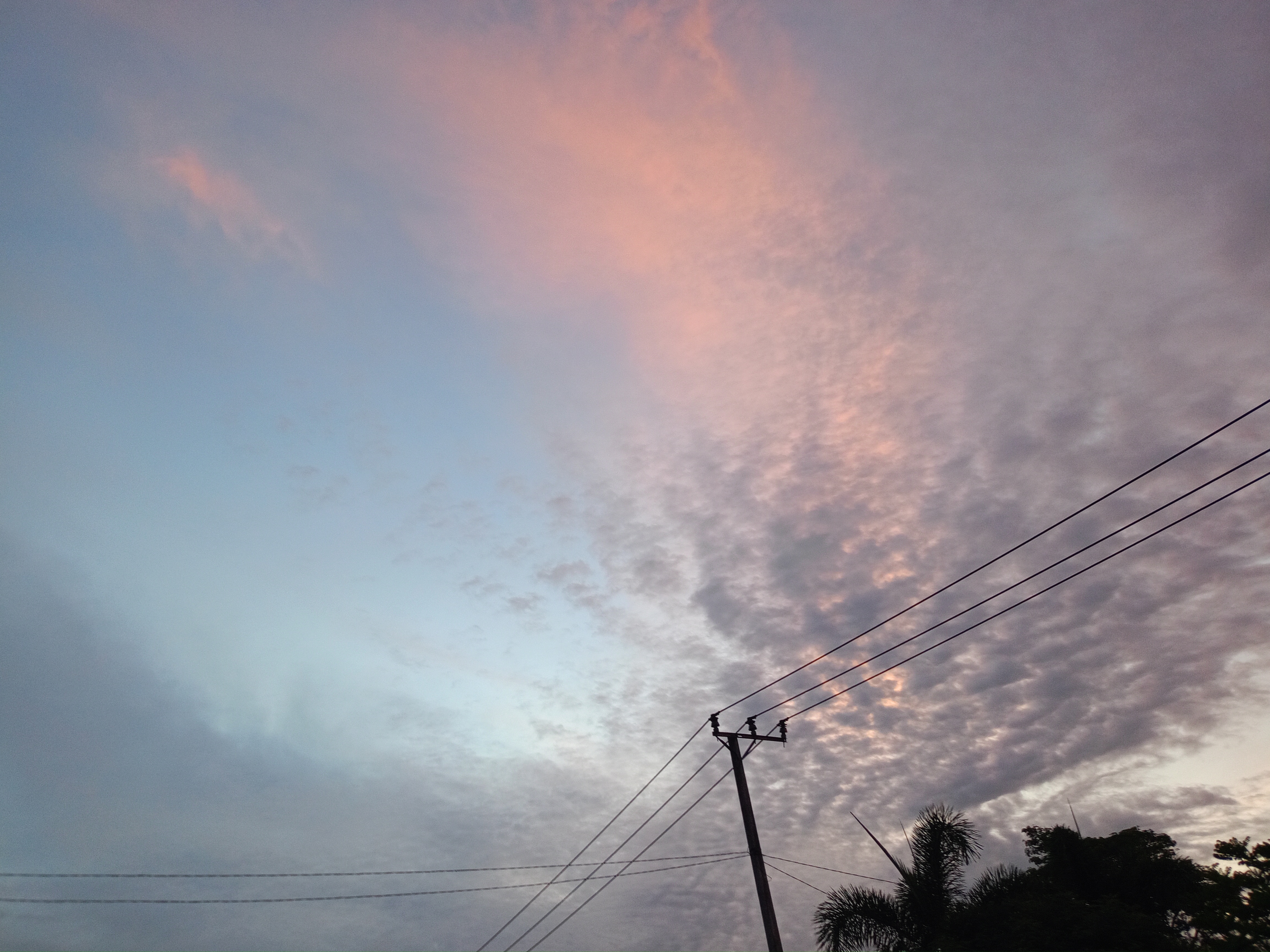 IMG20260410184554.jpg