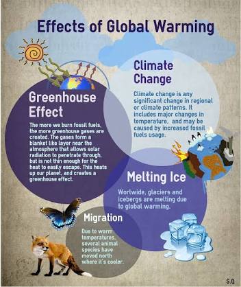 Effects of global warming. Глобальное потепление на английском. Climate change and Global warming. Climate change Effects.