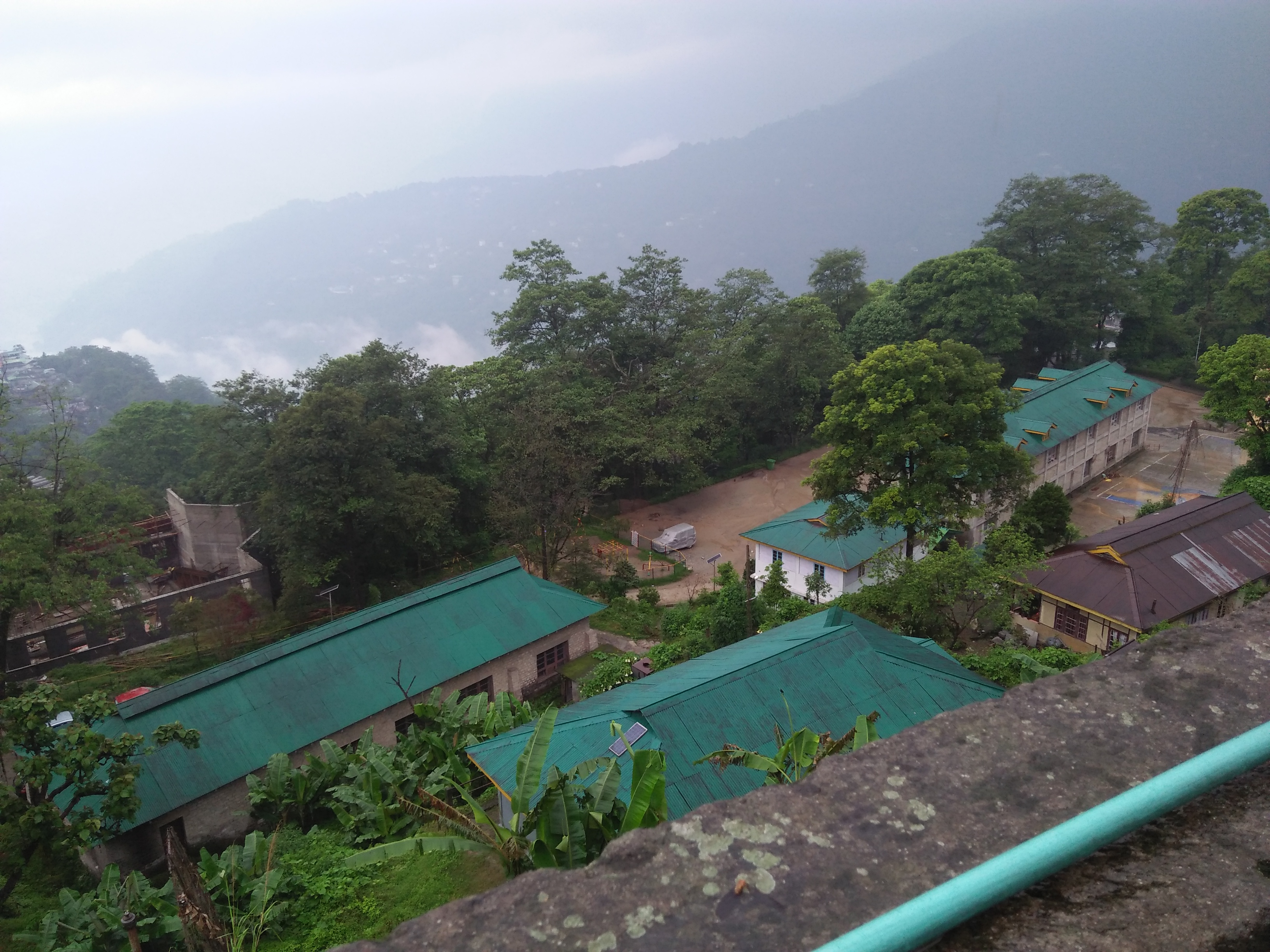 IMG20180528060828.jpg