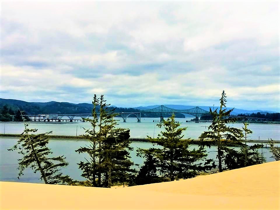 4. dunes good 8 (2).jpg