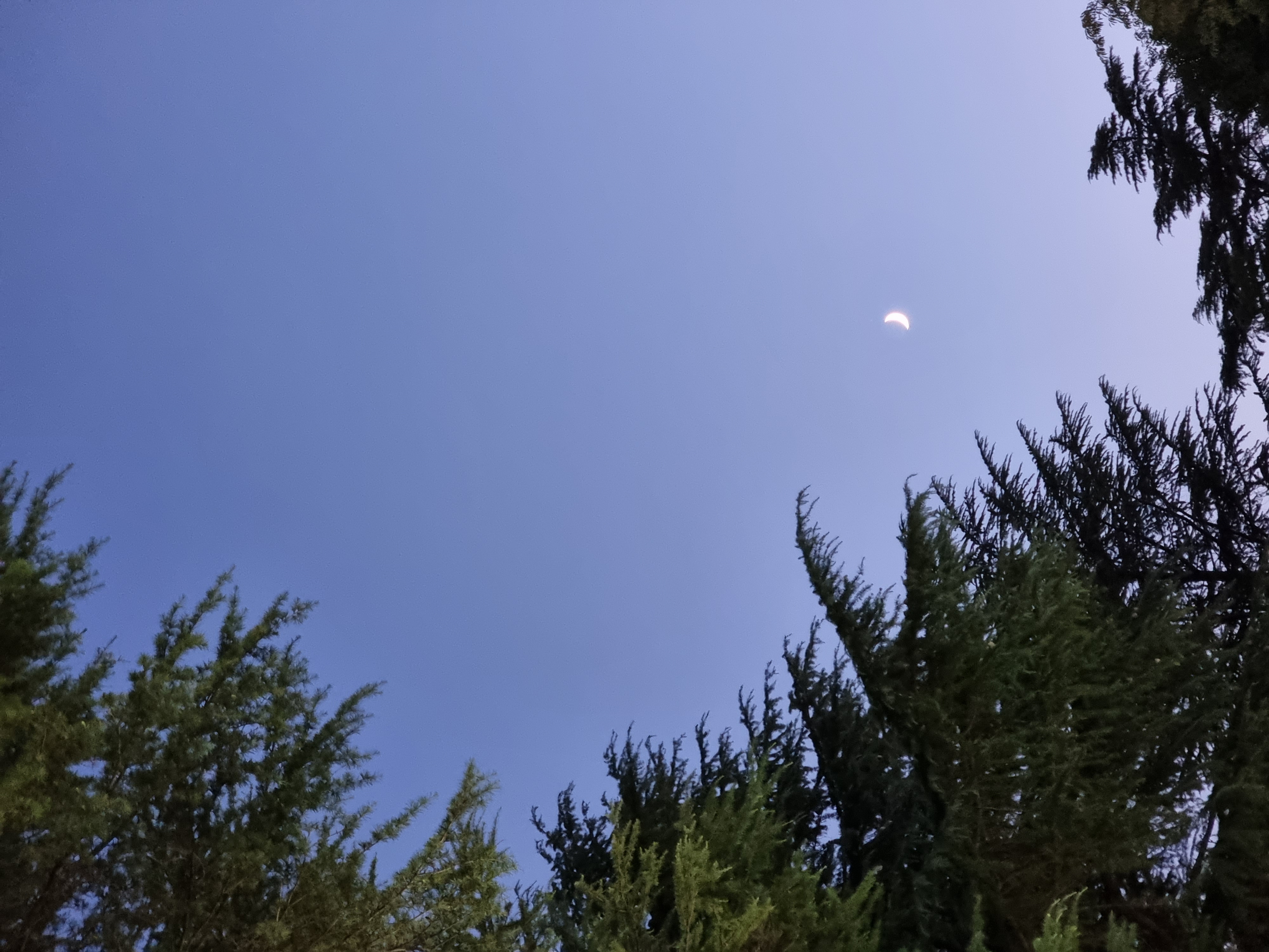 20220930_183555.jpg