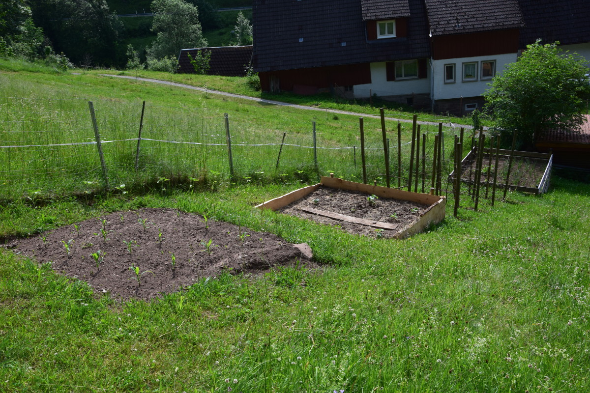 DSC_0081_1200.JPG