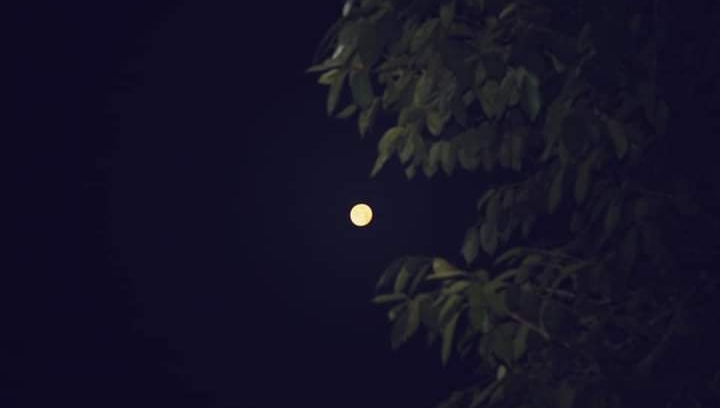 IMG_20220726_111352.jpg